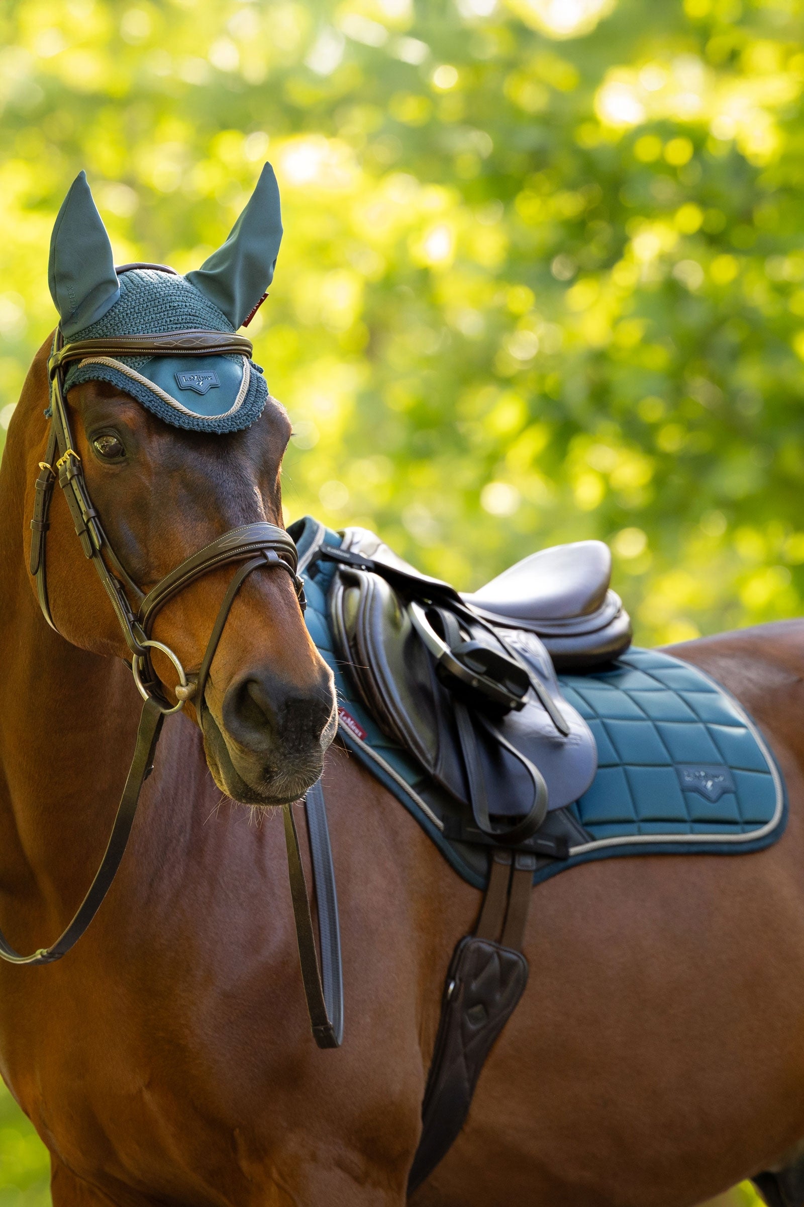 LeMieux Lemieux Loire Classic Close Contact Square Saddle Pad Saddle Pads