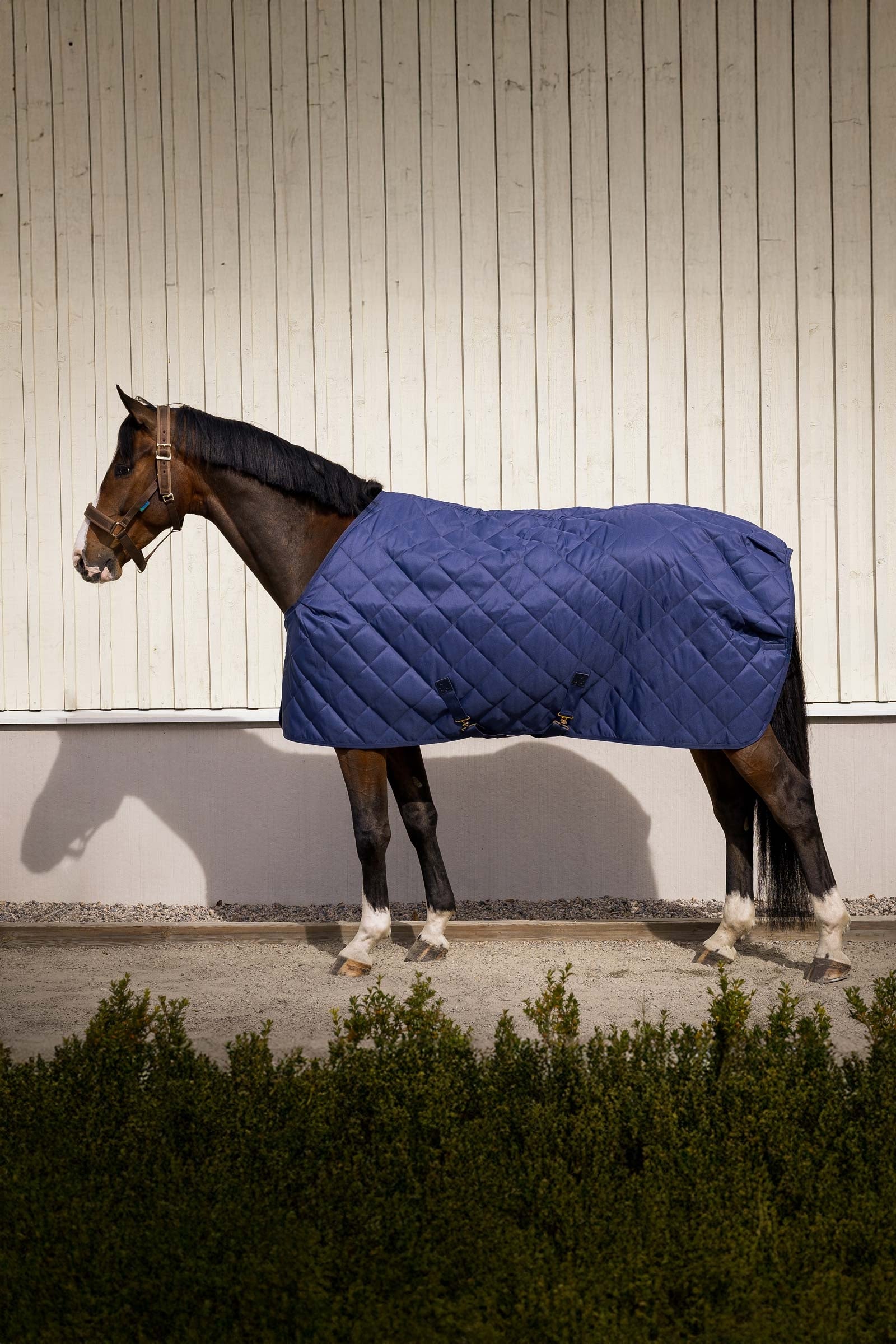 Bucas Cosy Stable Rug Coperte per cavalli