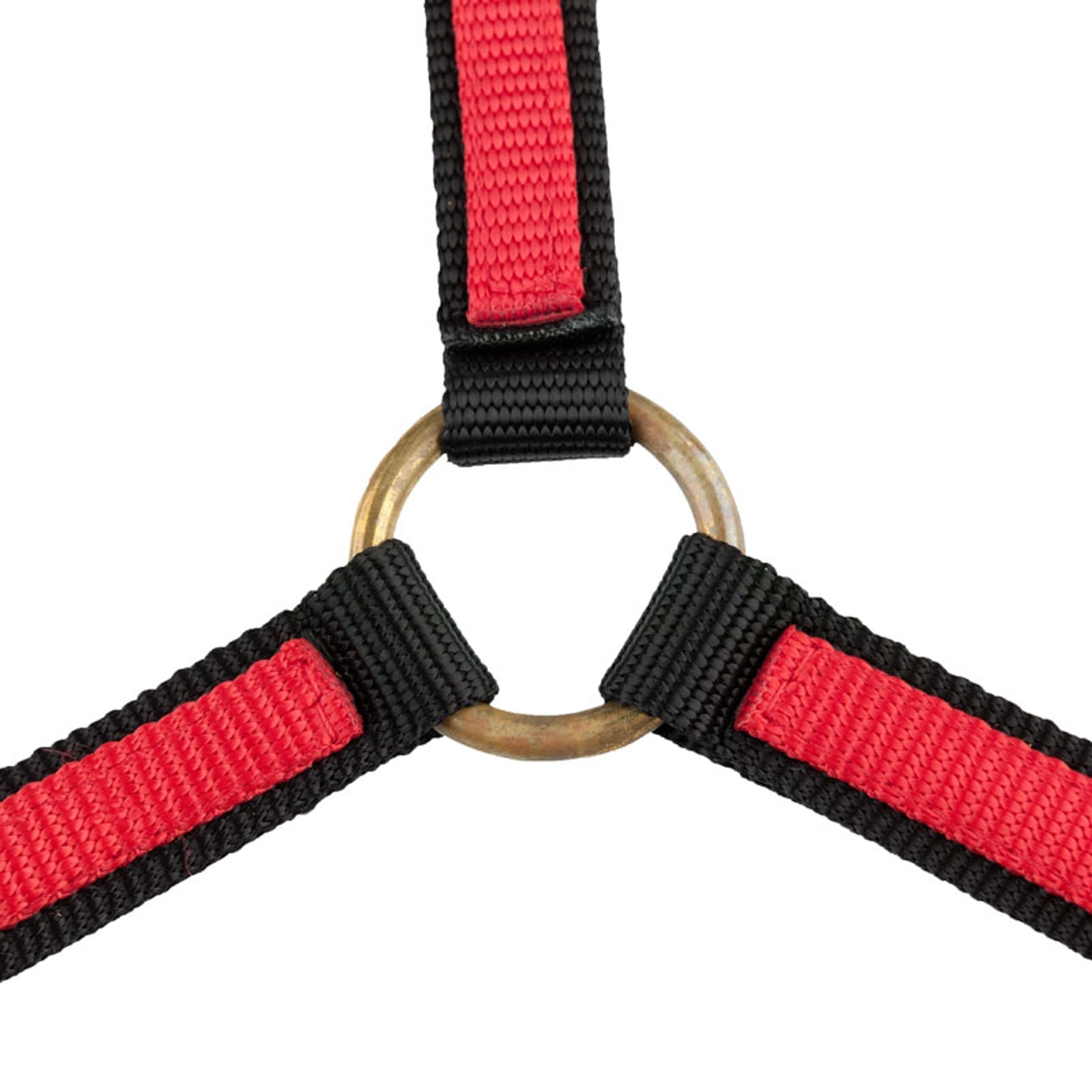 Finntack Cavezza in nylon Yankee, con apertura sul naso (20 mm) Cavezze e guinsagli