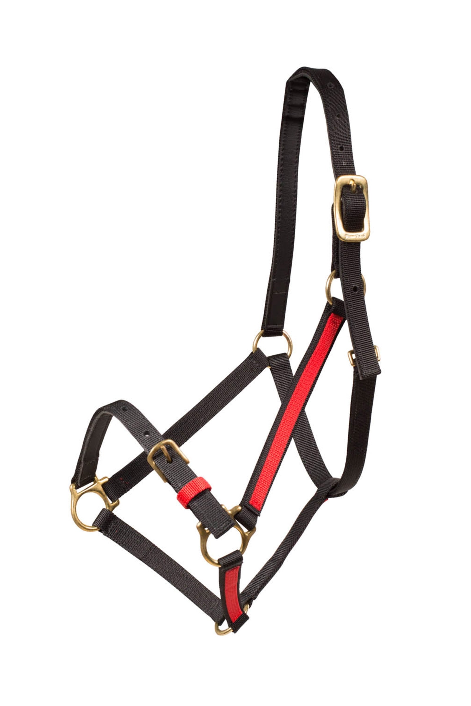 Finntack Cavezza Pro in nylon Yankee sintetico con naso aperto Cavezze e guinsagli