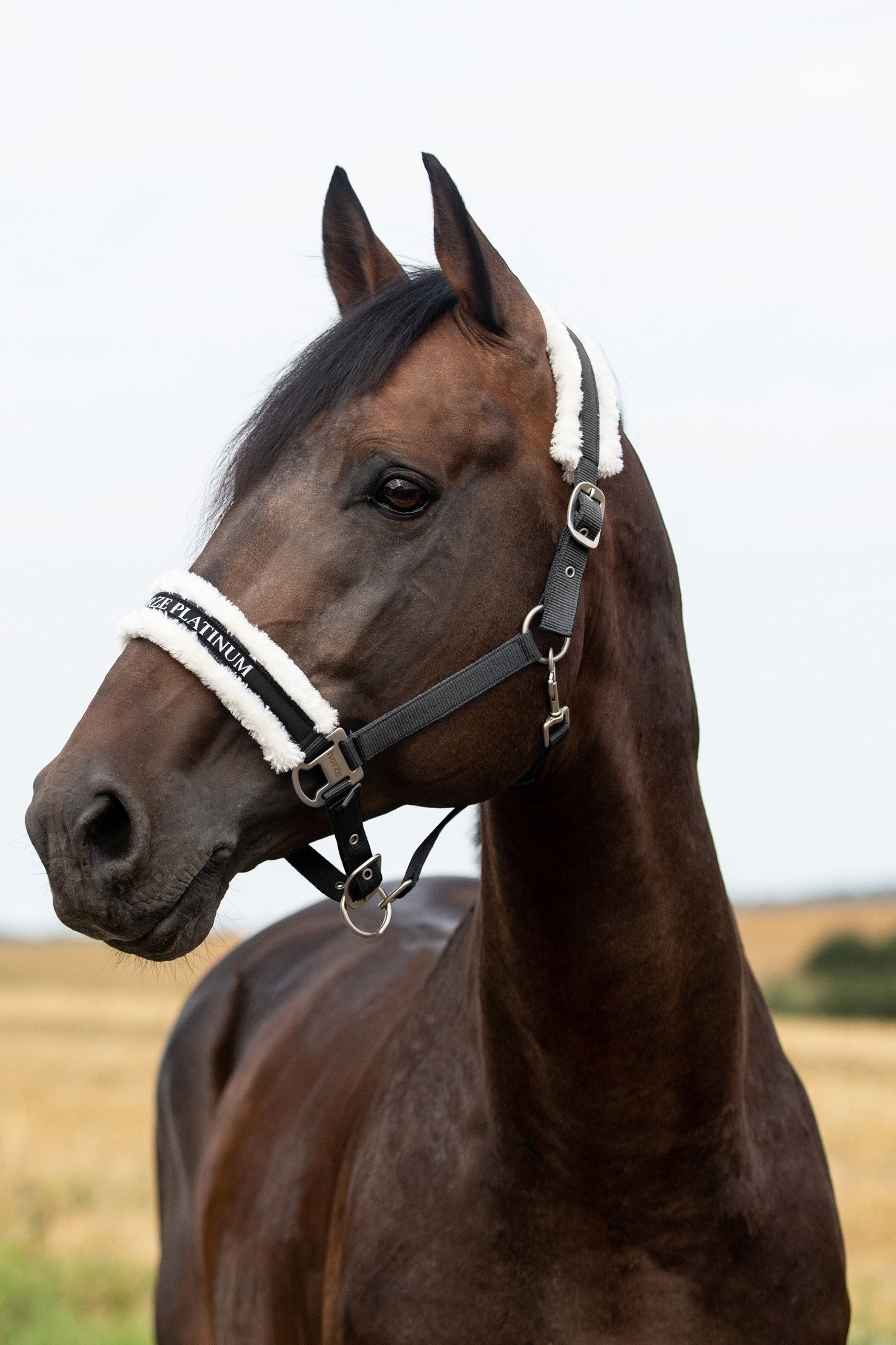 Horze Howard Halter Halters & Leads