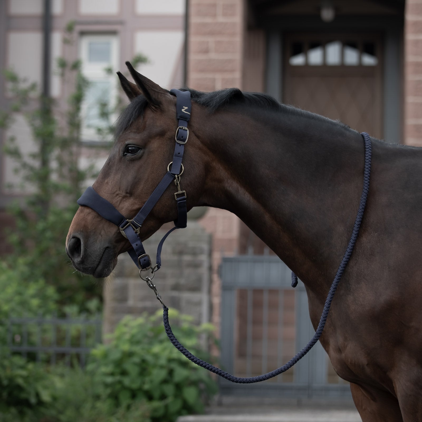 Horze Graz Capezza Cavezze e guinsagli