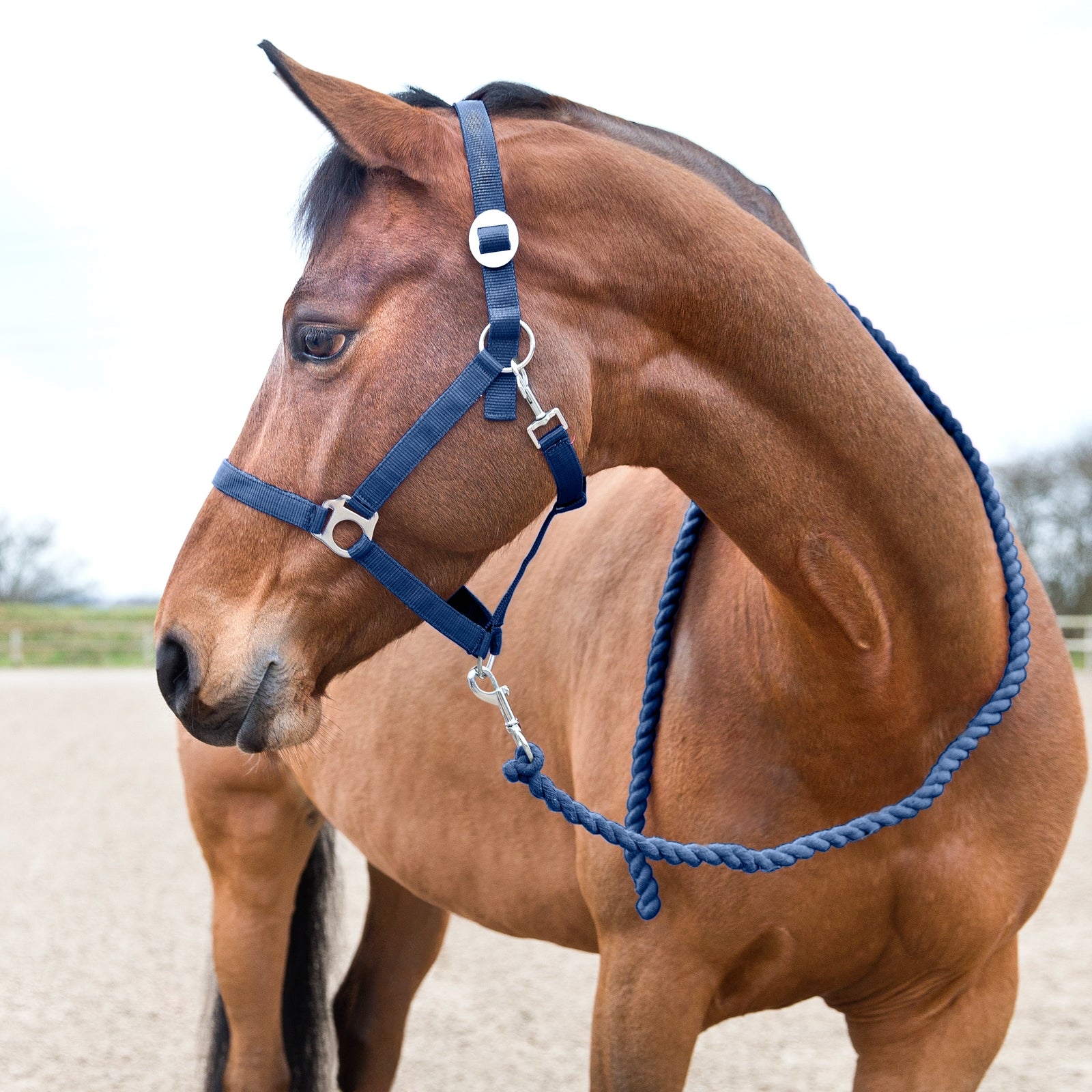 Horze Longhina basic Cavezze e guinsagli