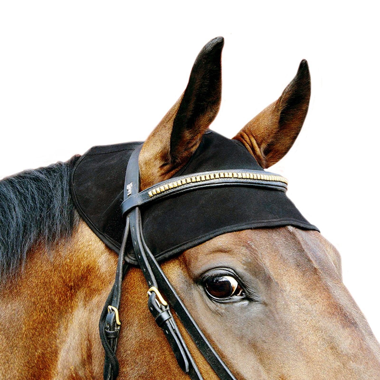 Back on Track Cappello con collo per cavalli Protezione antimosche per cavalli