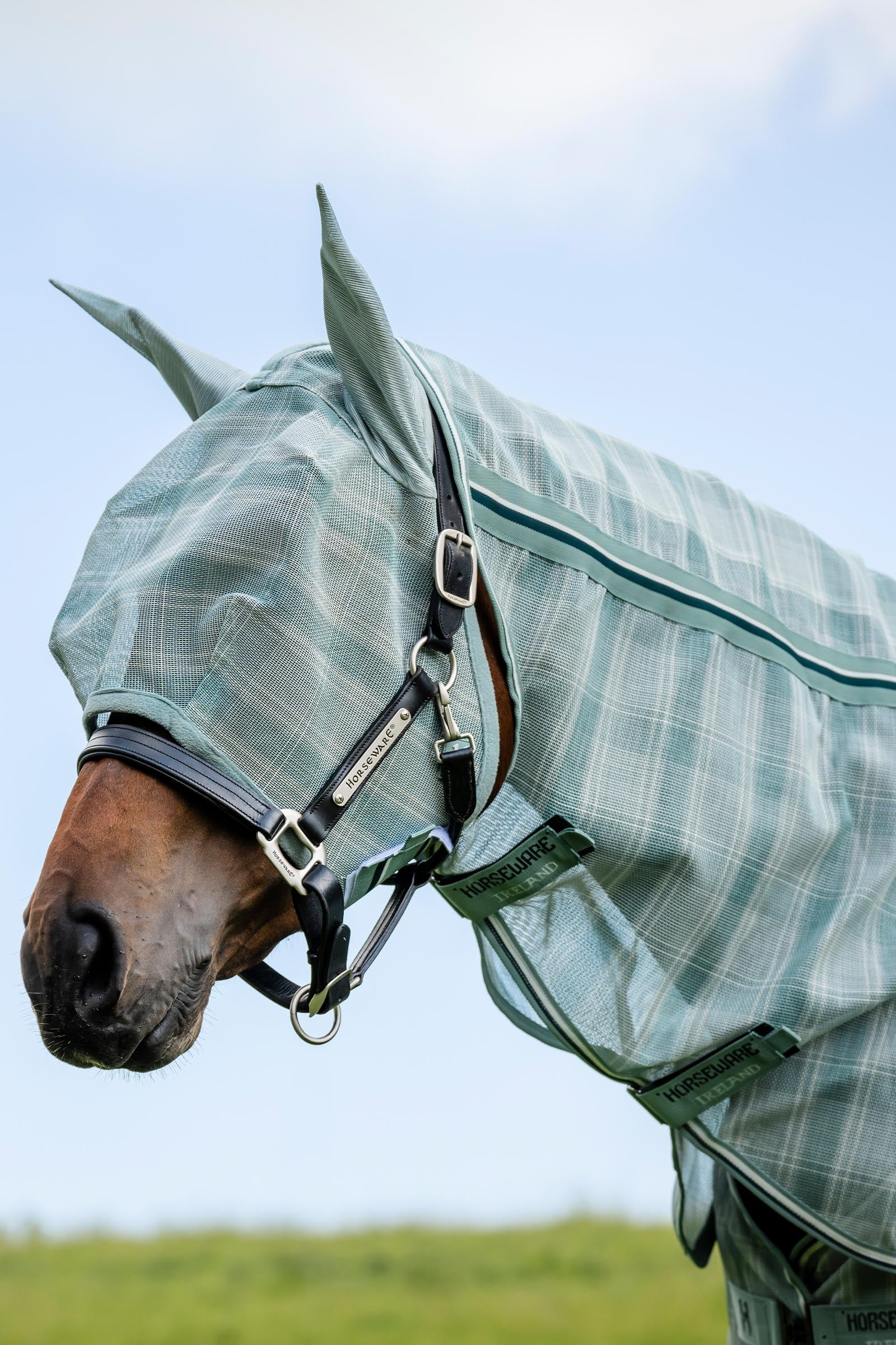 Horseware Newmarket Maschera antimosche Protezione antimosche per cavalli