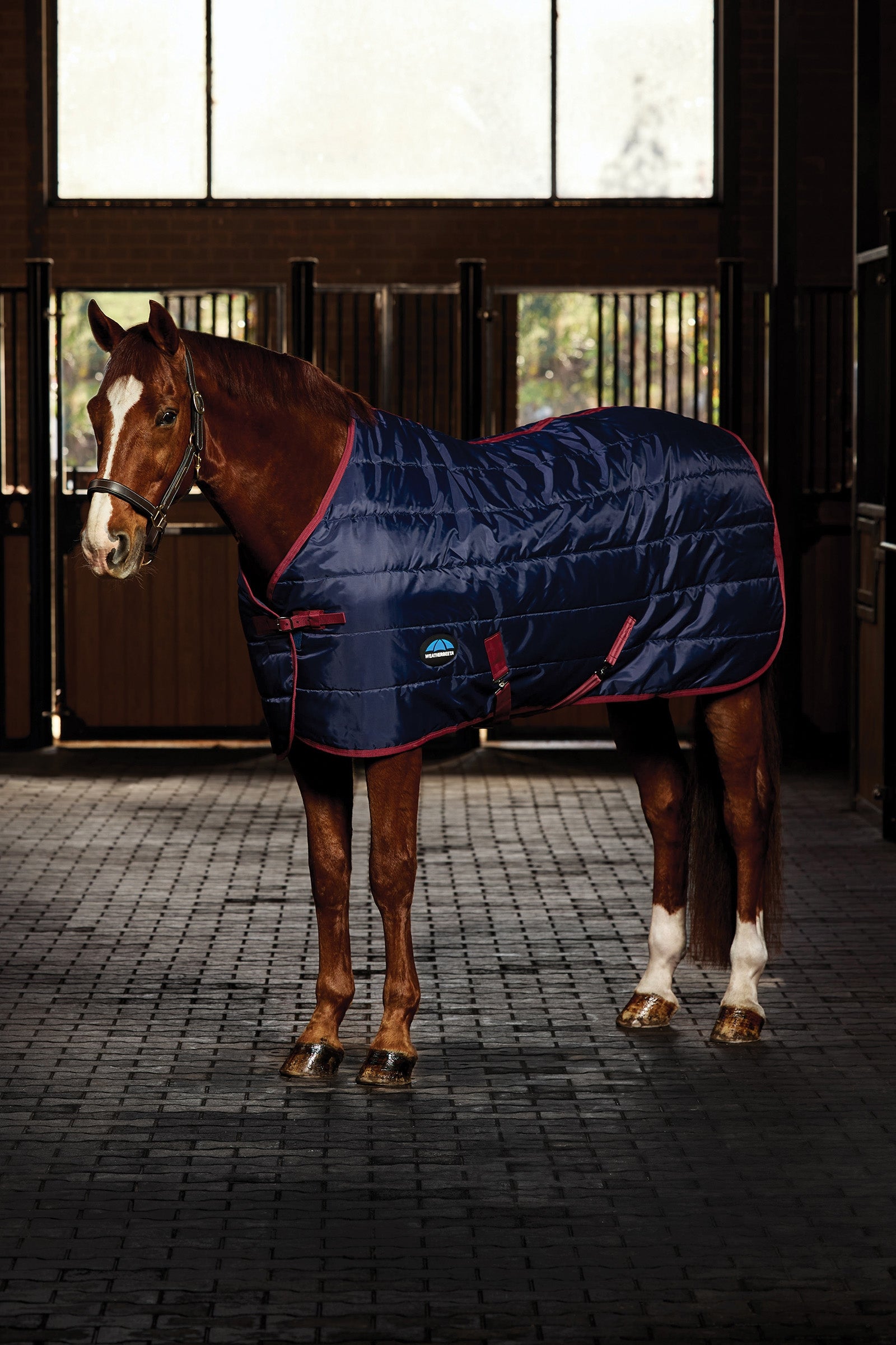 Weatherbeeta ComFiTec 210D Channel Quilt Stable Rug Standard Neck 220G Coperte per cavalli