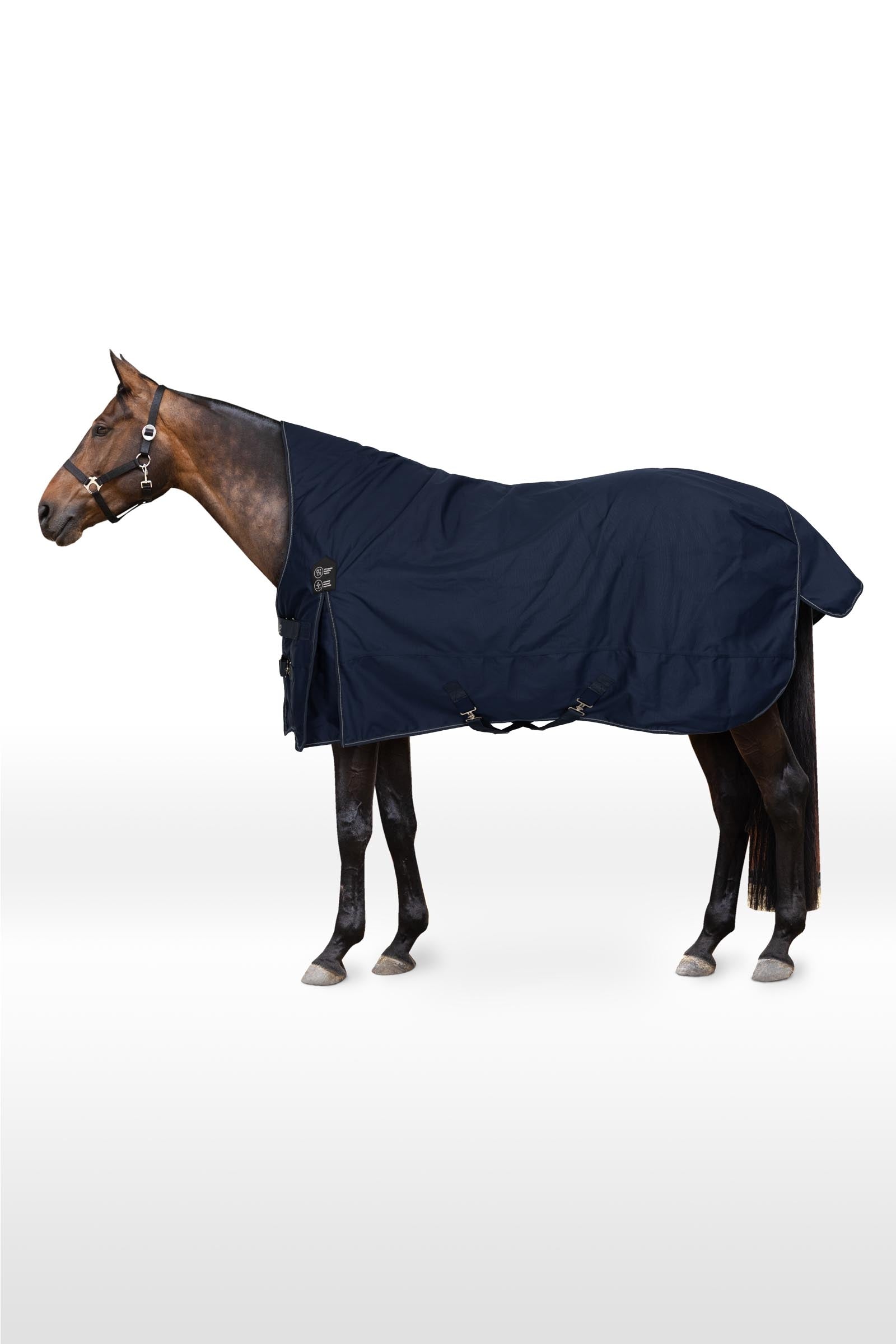 Horze Coperta Avalanche Turnout con collo alto, 150g Coperte per cavalli