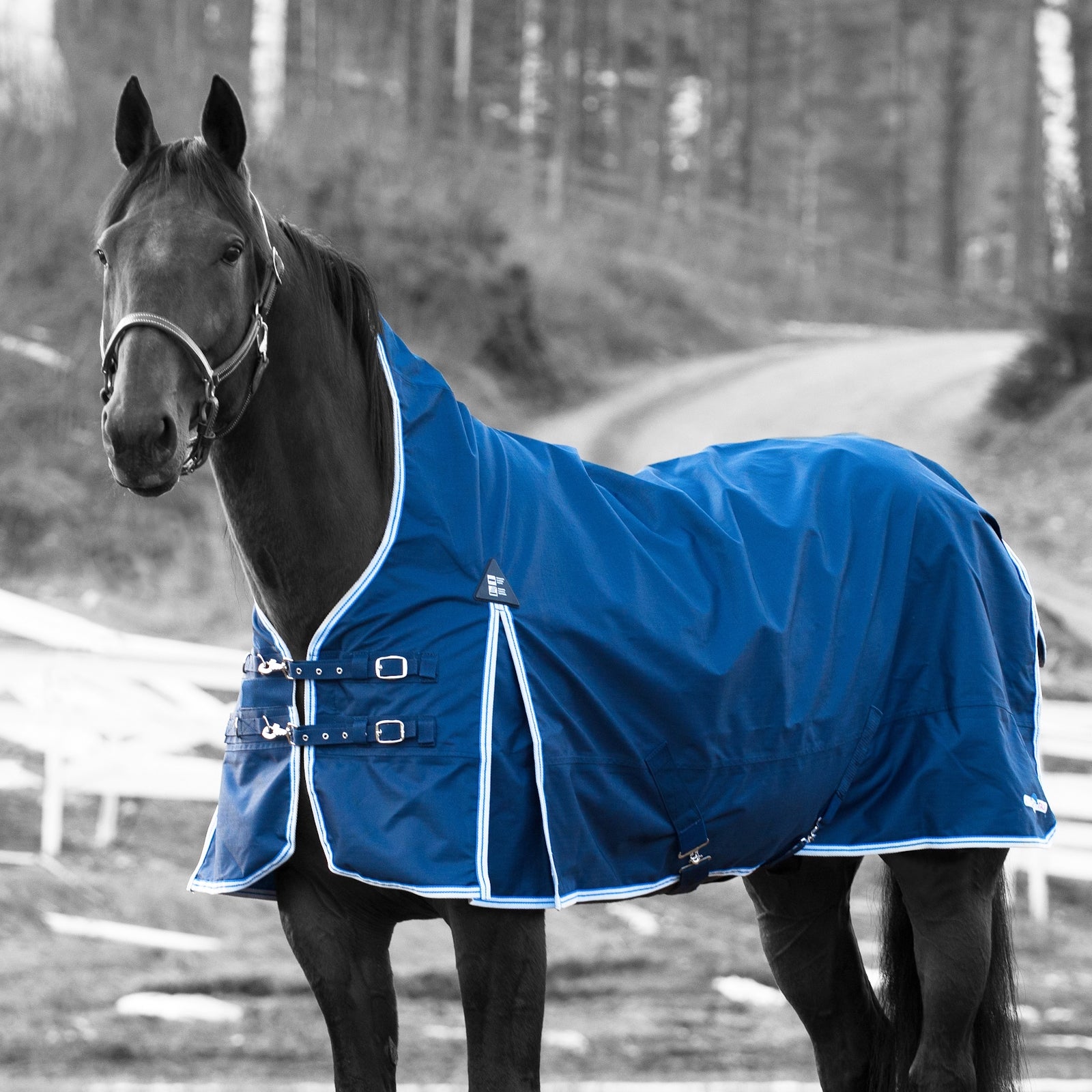 Finntack Coperta da pioggia Pro Alaska Coperte per cavalli