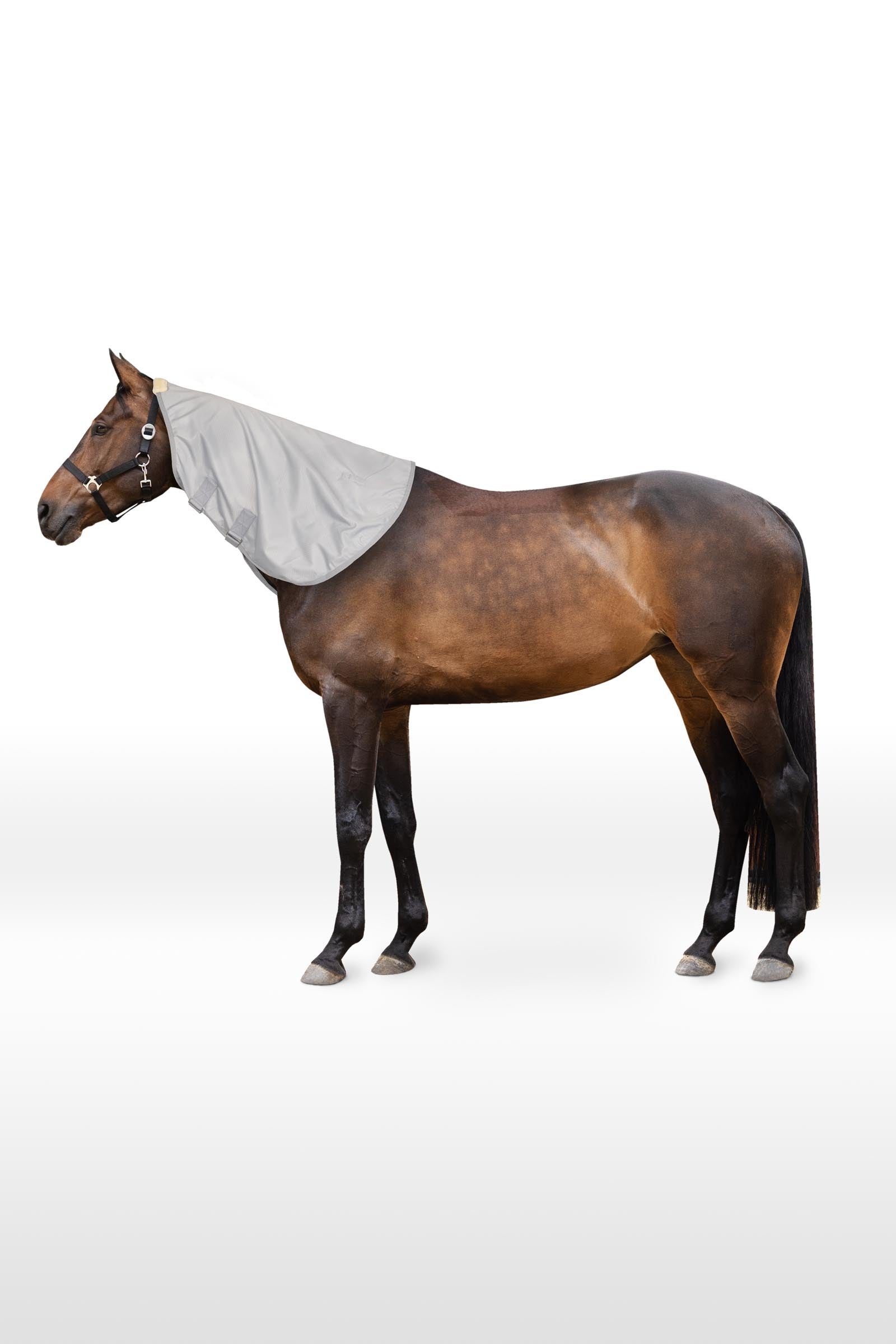 Horze Nevada 600D Collo da turnout Coperte per cavalli