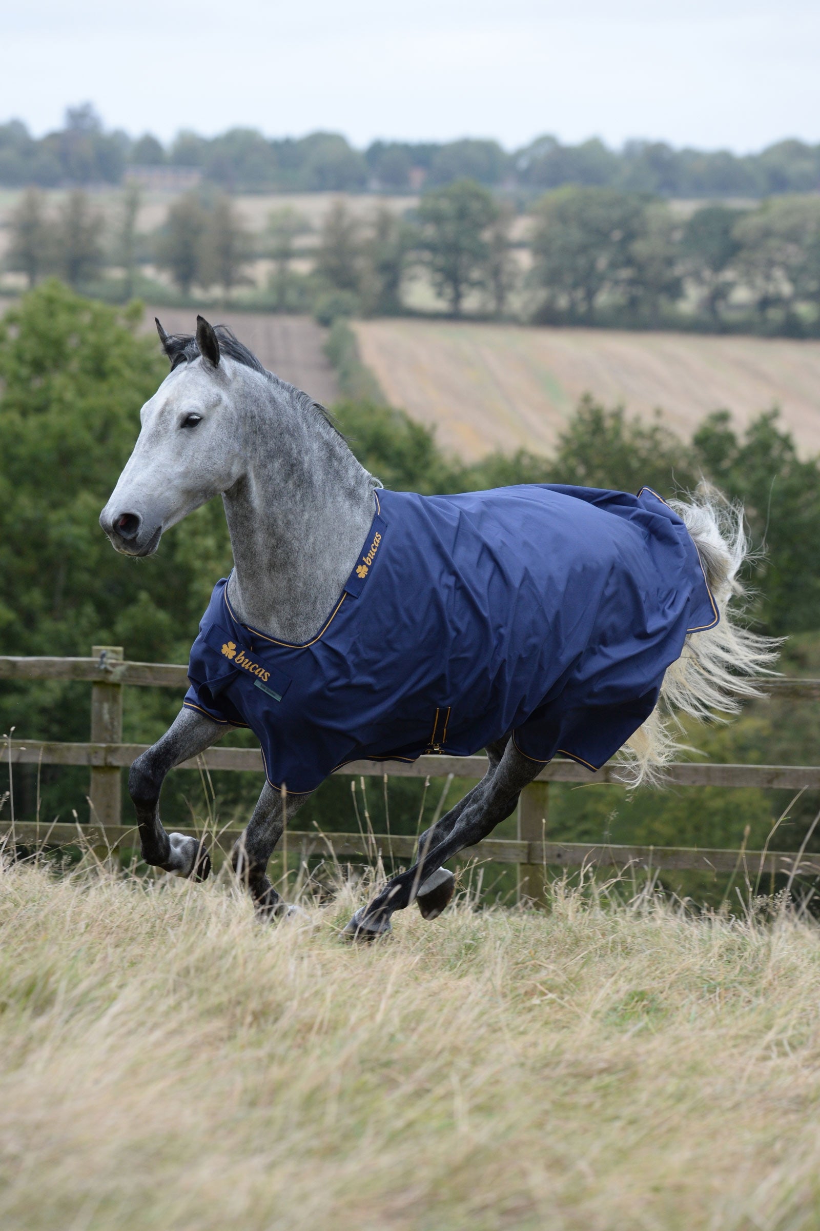Bucas Irish Turnout Rug, 50g Horse Rugs