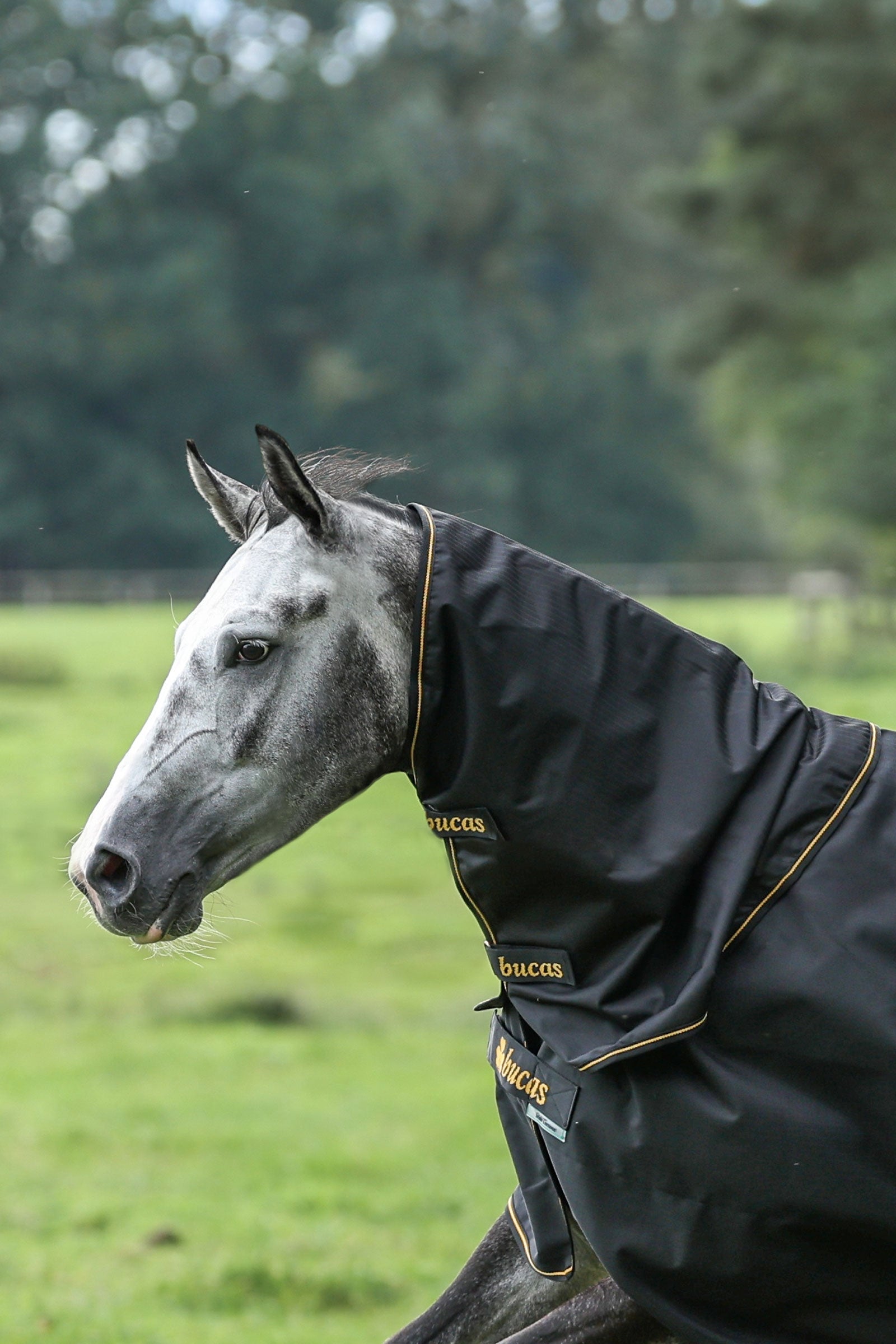 Bucas Irish Turnout colletto, 0g Coperte per cavalli