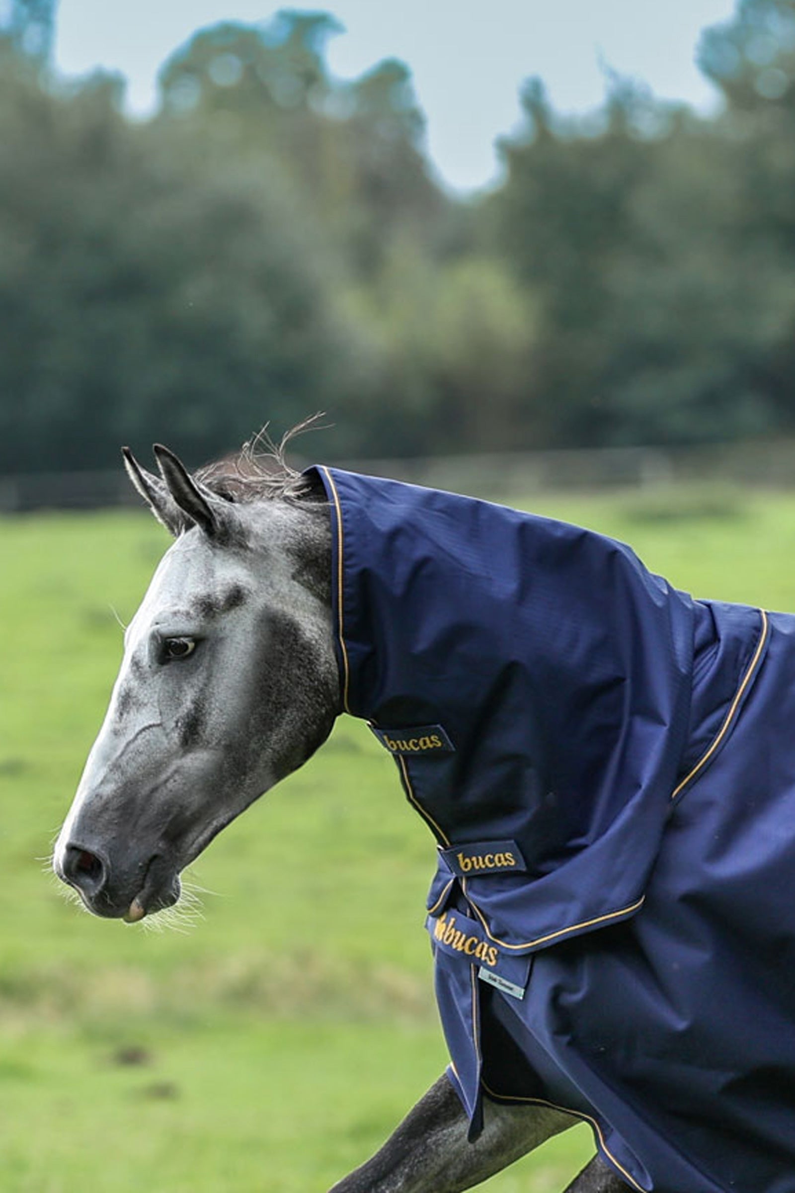 Bucas Irish Turnout colletto, 0g Coperte per cavalli