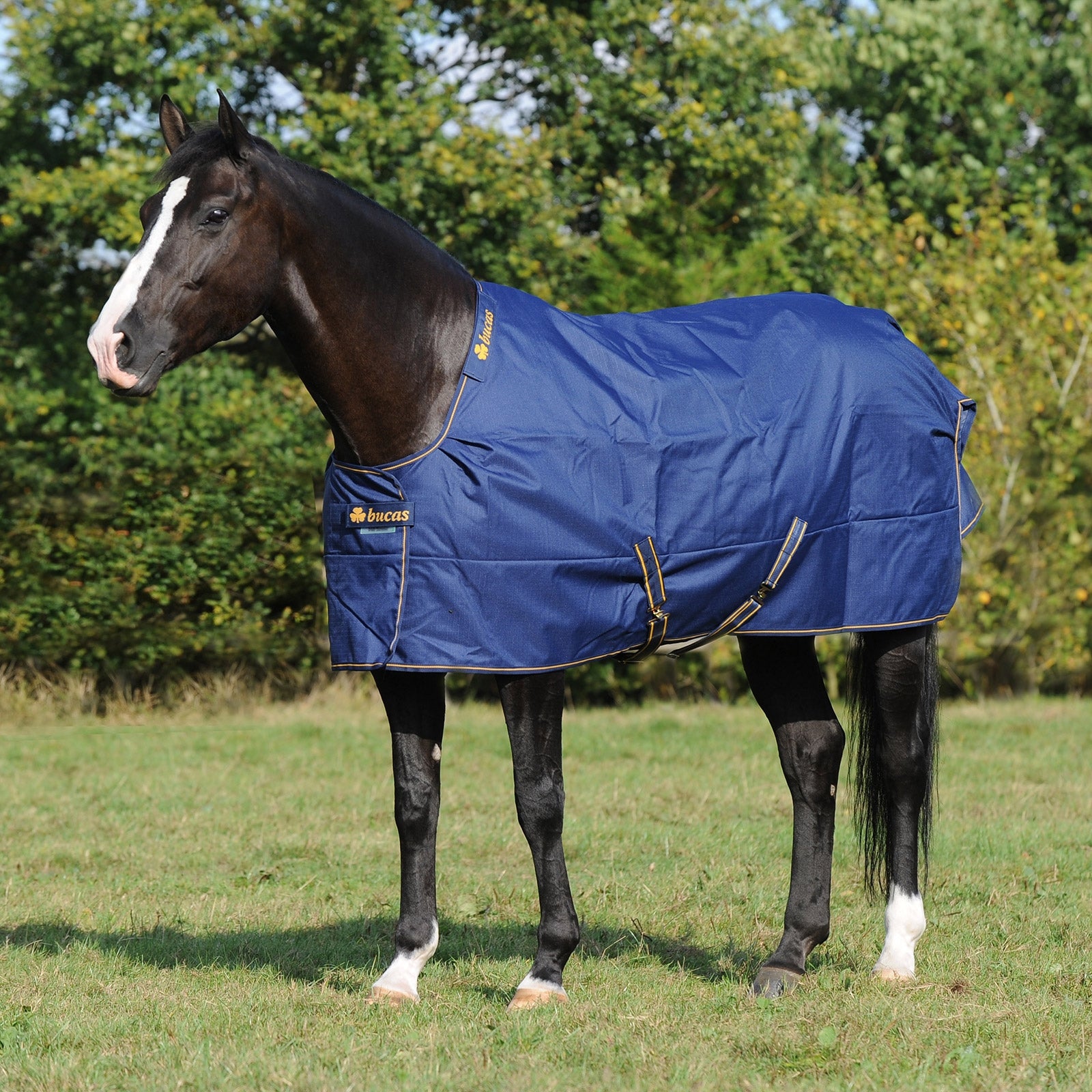 Bucas Irish Turnout Extra Pony Turnout Rug, 300g Horse Rugs