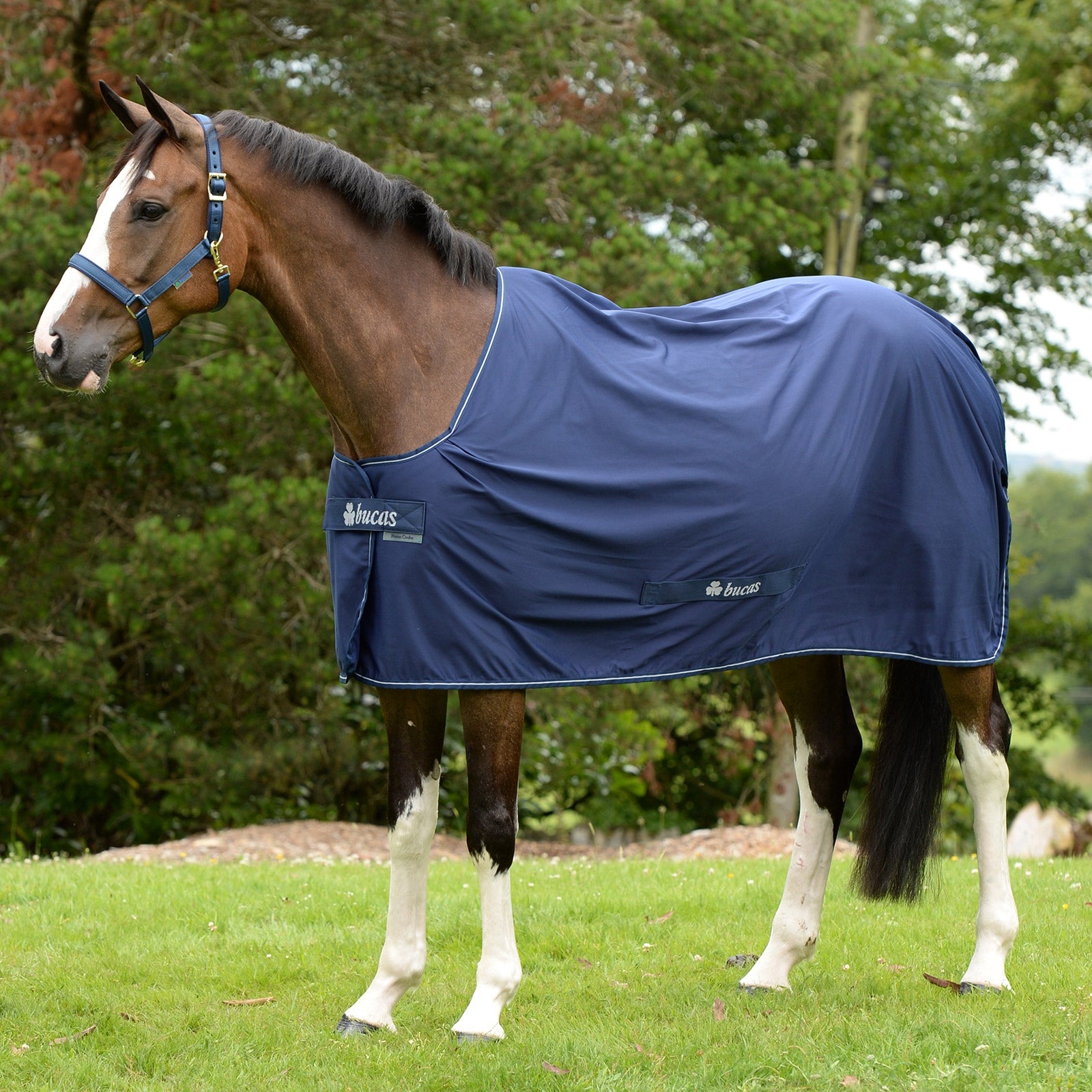 Bucas Shamrock Power Coperta raffreddante per pony Coperte per cavalli