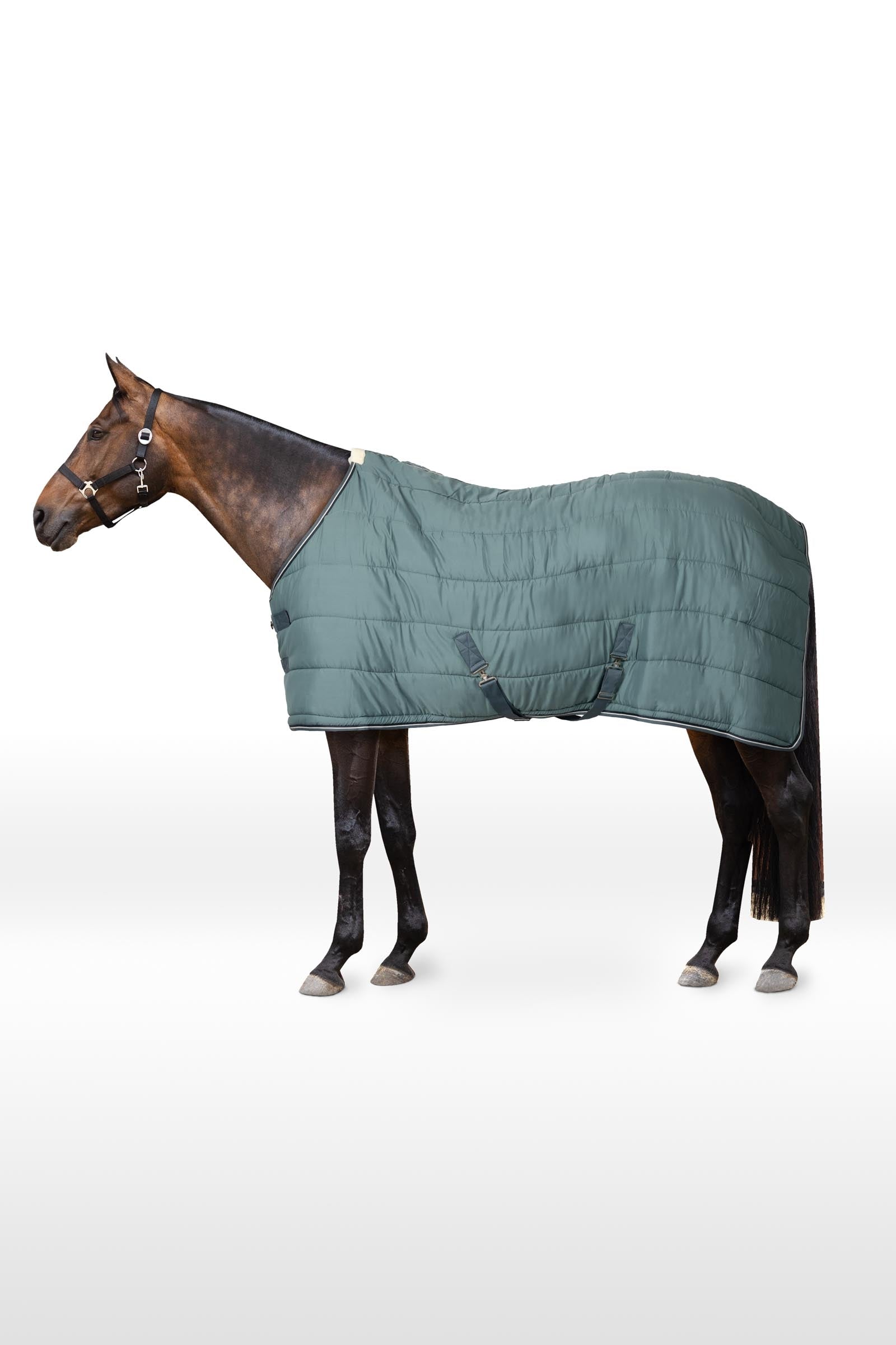 Horze Glasgow Coperta da scuderia/Sotto coperta, 200 g Coperte per cavalli