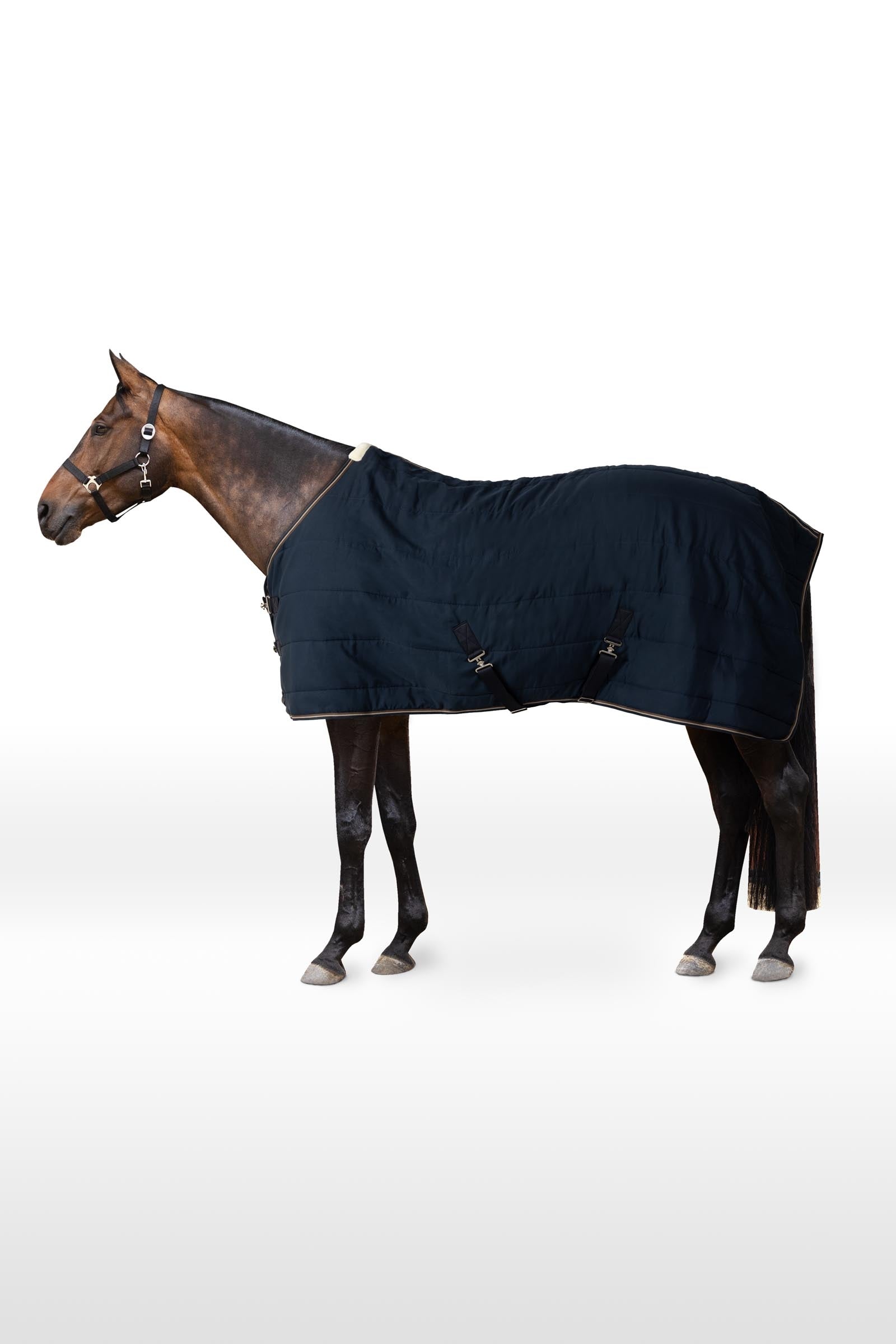 Horze Glasgow Coperta da scuderia/Sotto coperta, 200 g Coperte per cavalli