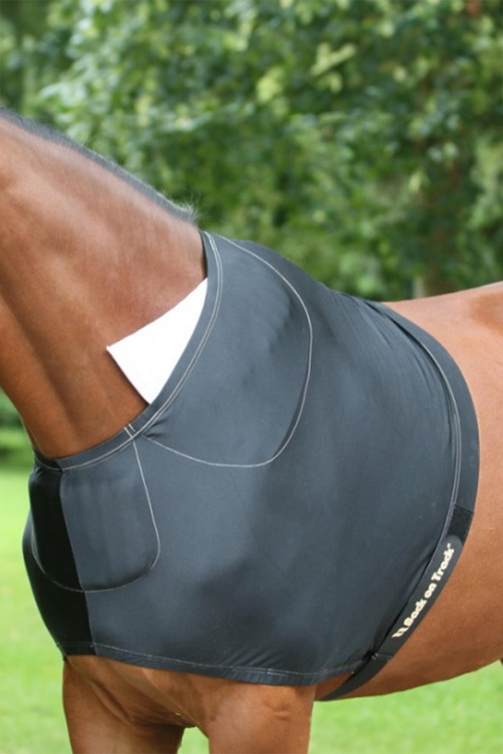 Back on Track Protezione per spalle Coperte per cavalli