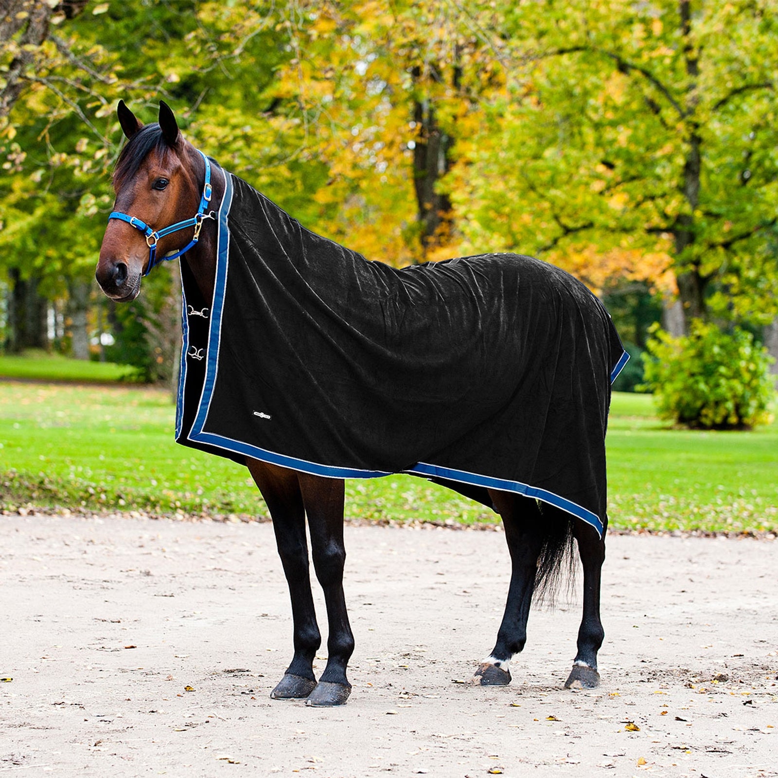 Finntack Raffreddatore in pile Pro Coperte per cavalli