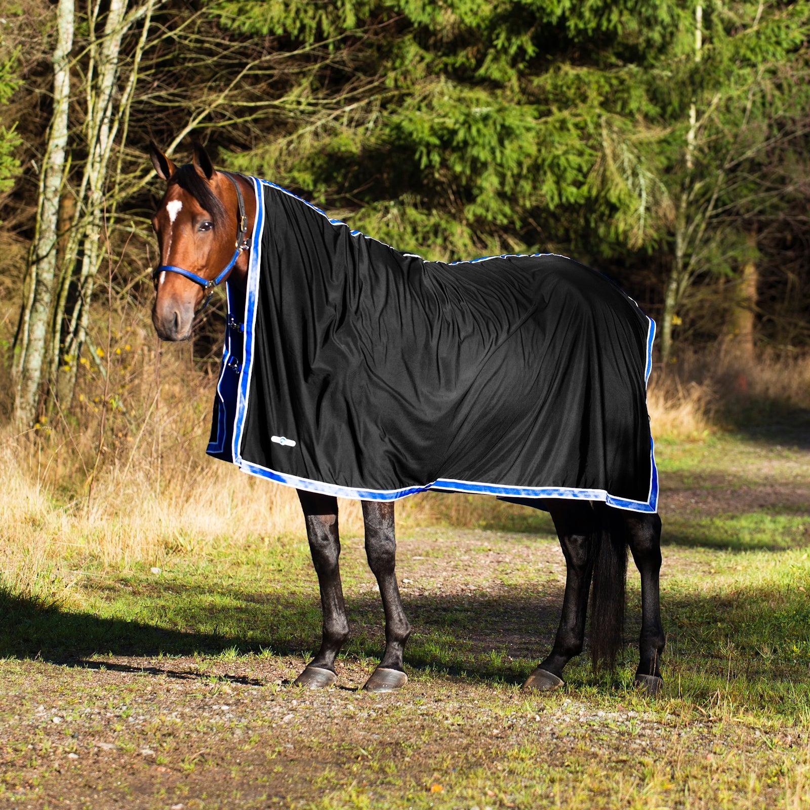 Finntack Coperta da riposo Pritex Coperte per cavalli