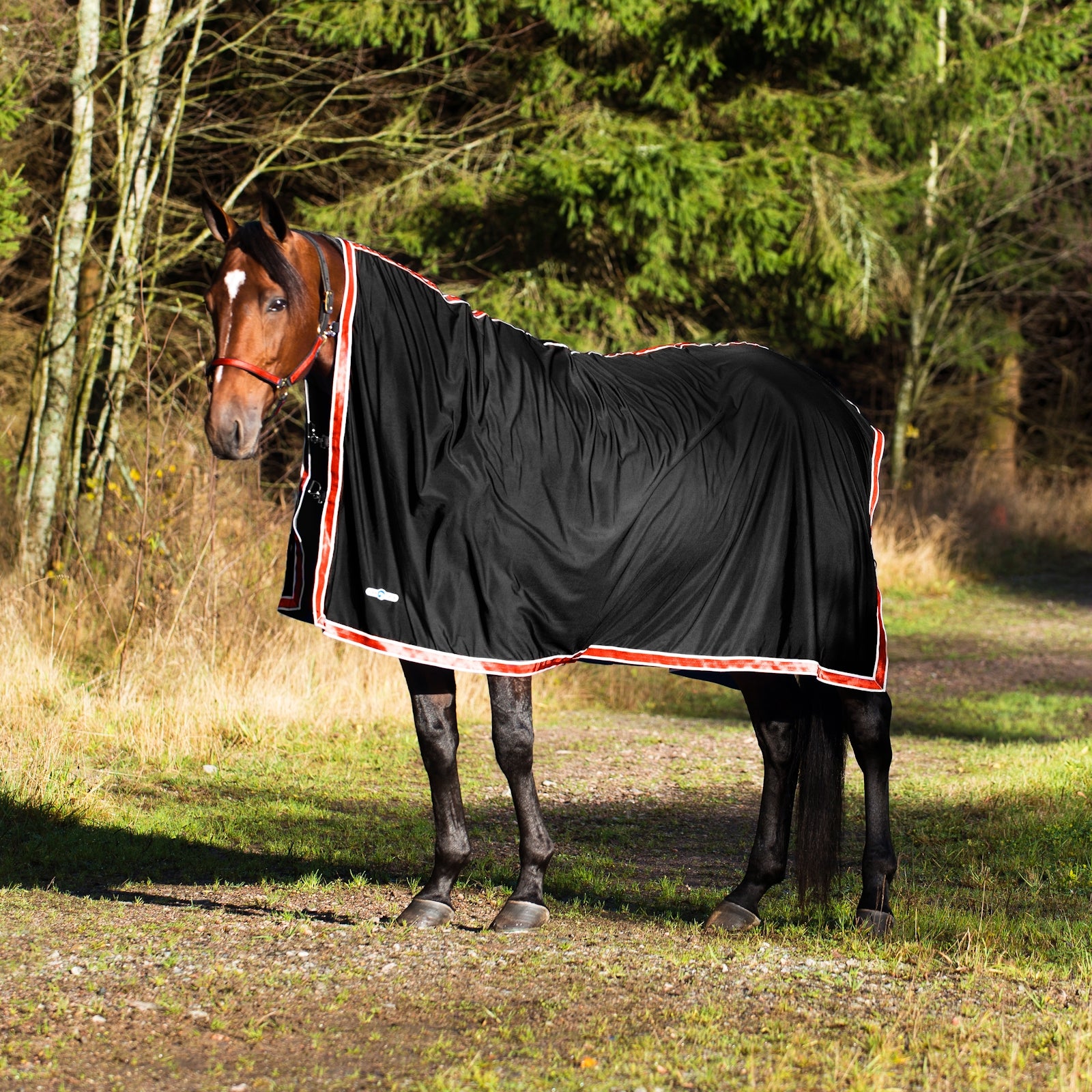 Finntack Coperta da riposo Pritex Coperte per cavalli