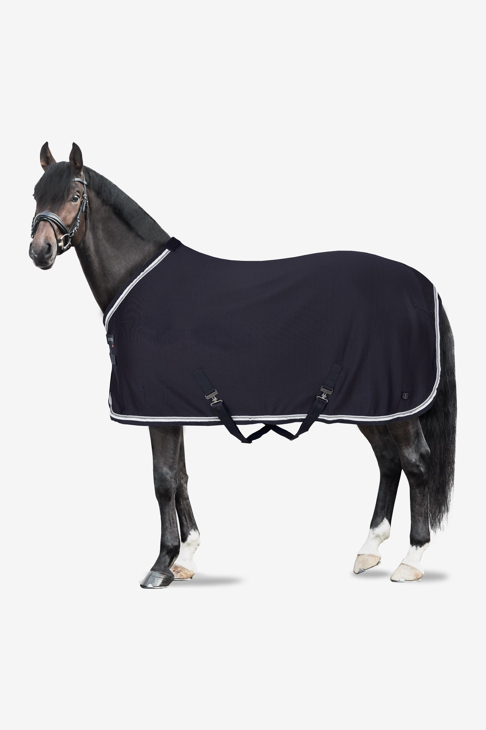 B Vertigo Cameron coperta funzionale con protezione UV Coperte per cavalli
