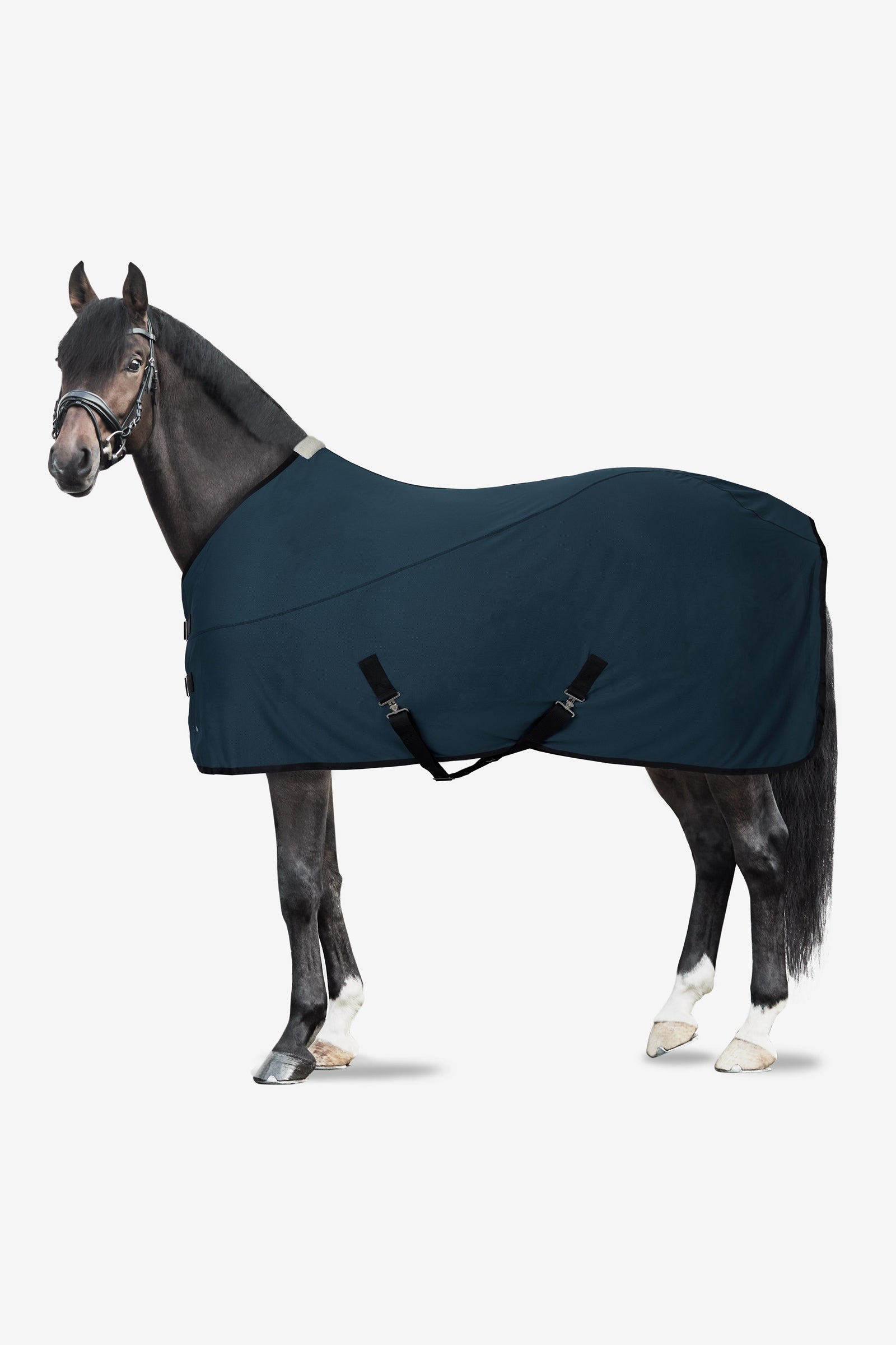 Horze EDIZIONE LIMITATA Coperta raffreddante Coperte per cavalli