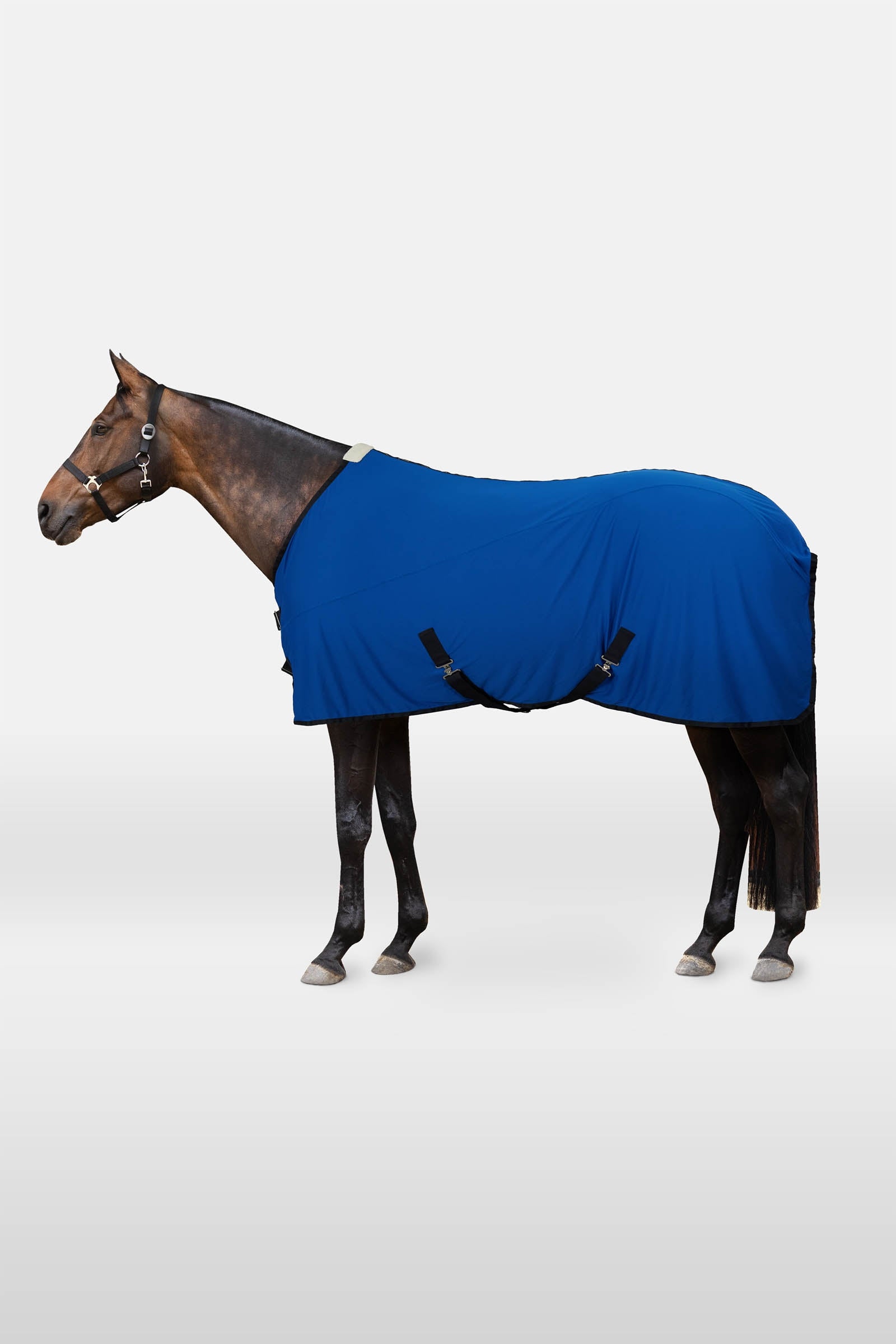 Horze EDIZIONE LIMITATA Coperta raffreddante Coperte per cavalli