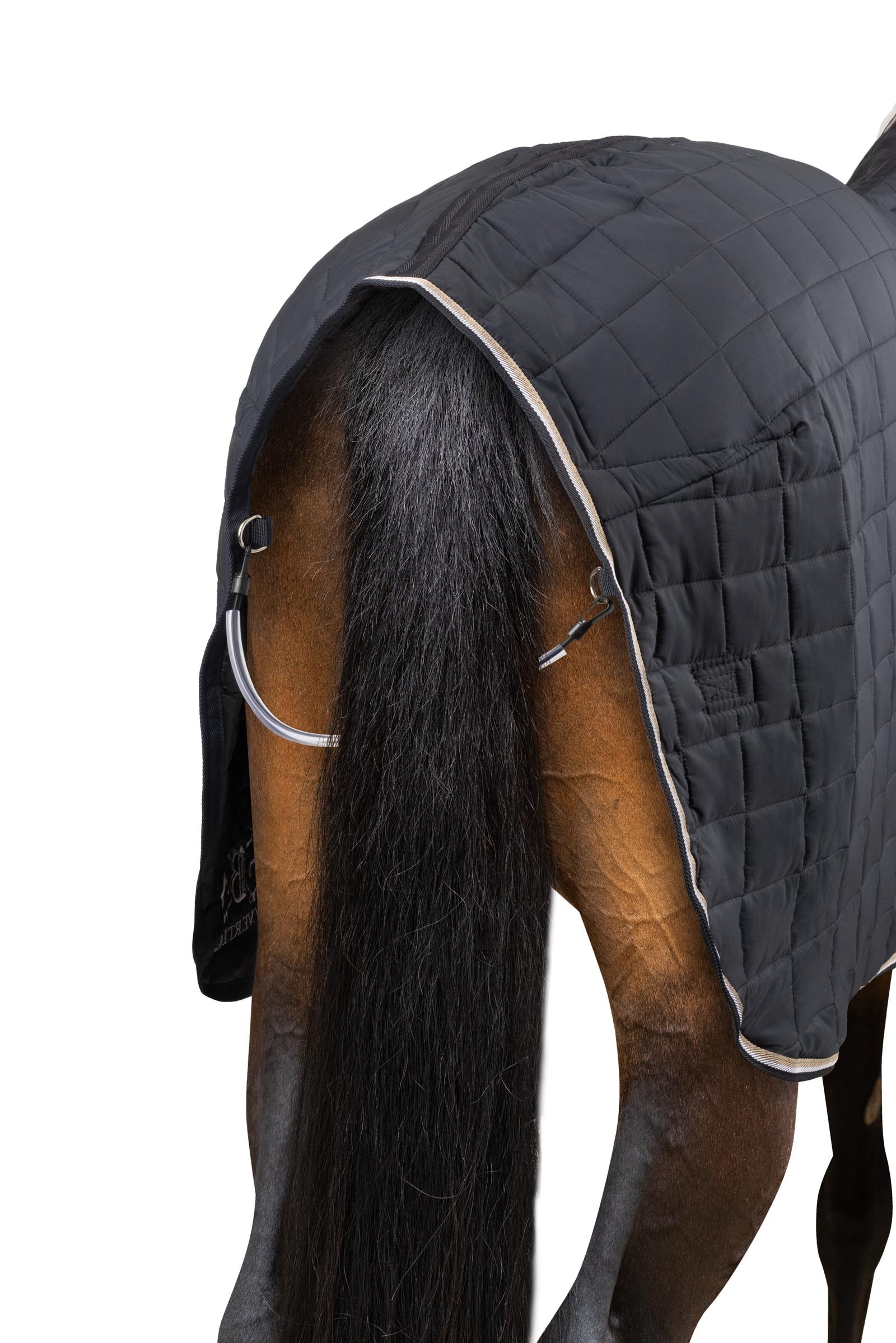 B Vertigo Theo Stable Rug, 150g Horse Rugs