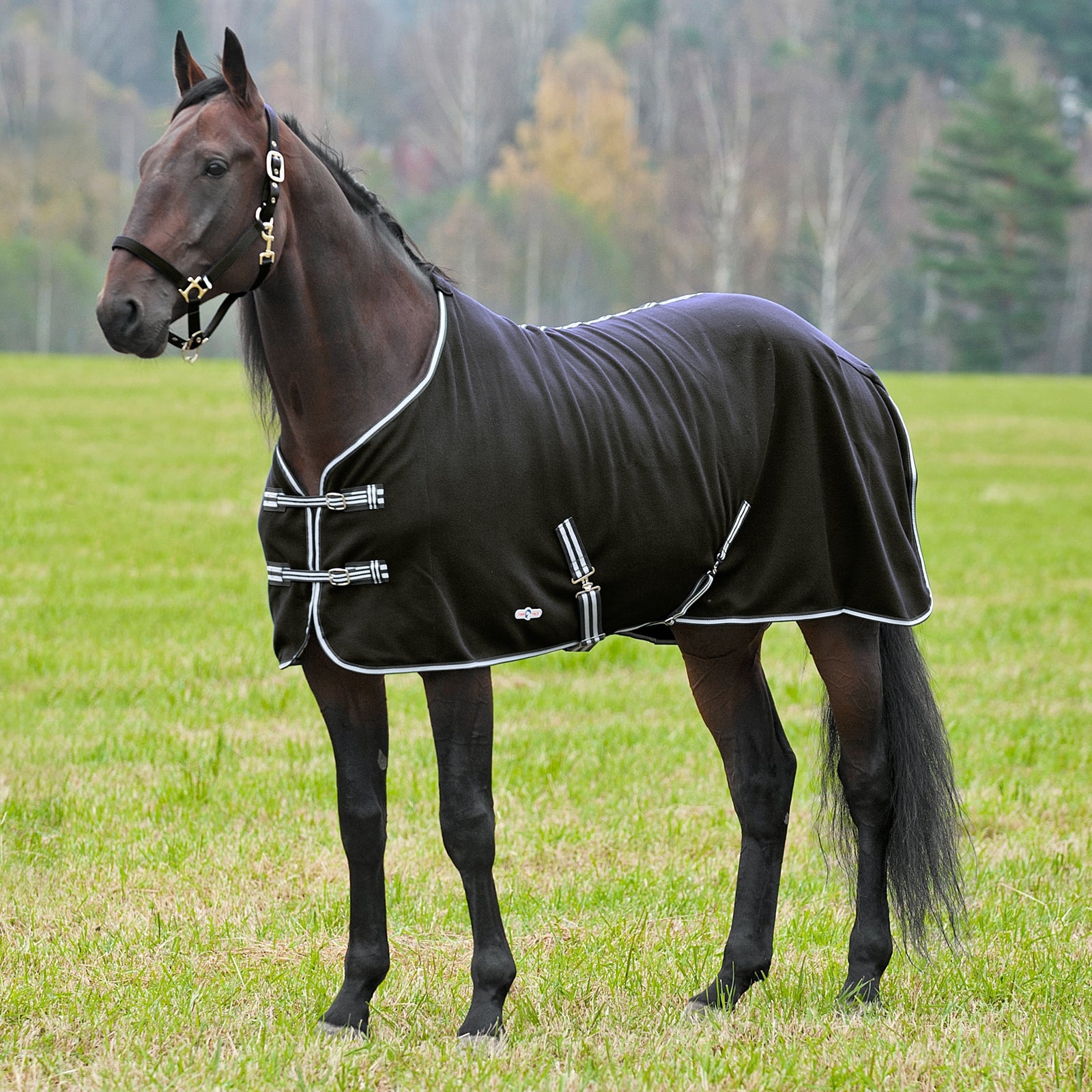 Finntack Coperta in pile Cuddle Coperte per cavalli