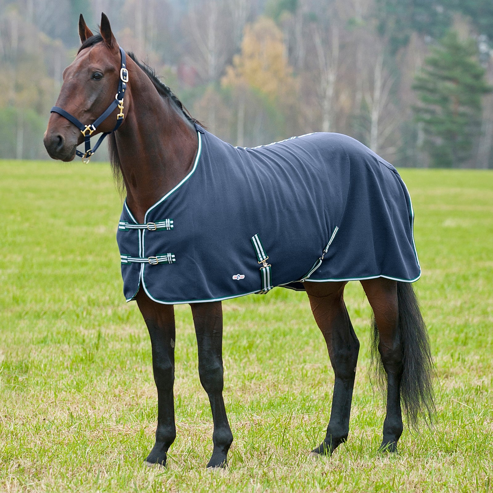 Horse rugs Horze Marquess - La Sellerie de Maé Horse rugs Horze Marquess - La Sellerie de Maé
