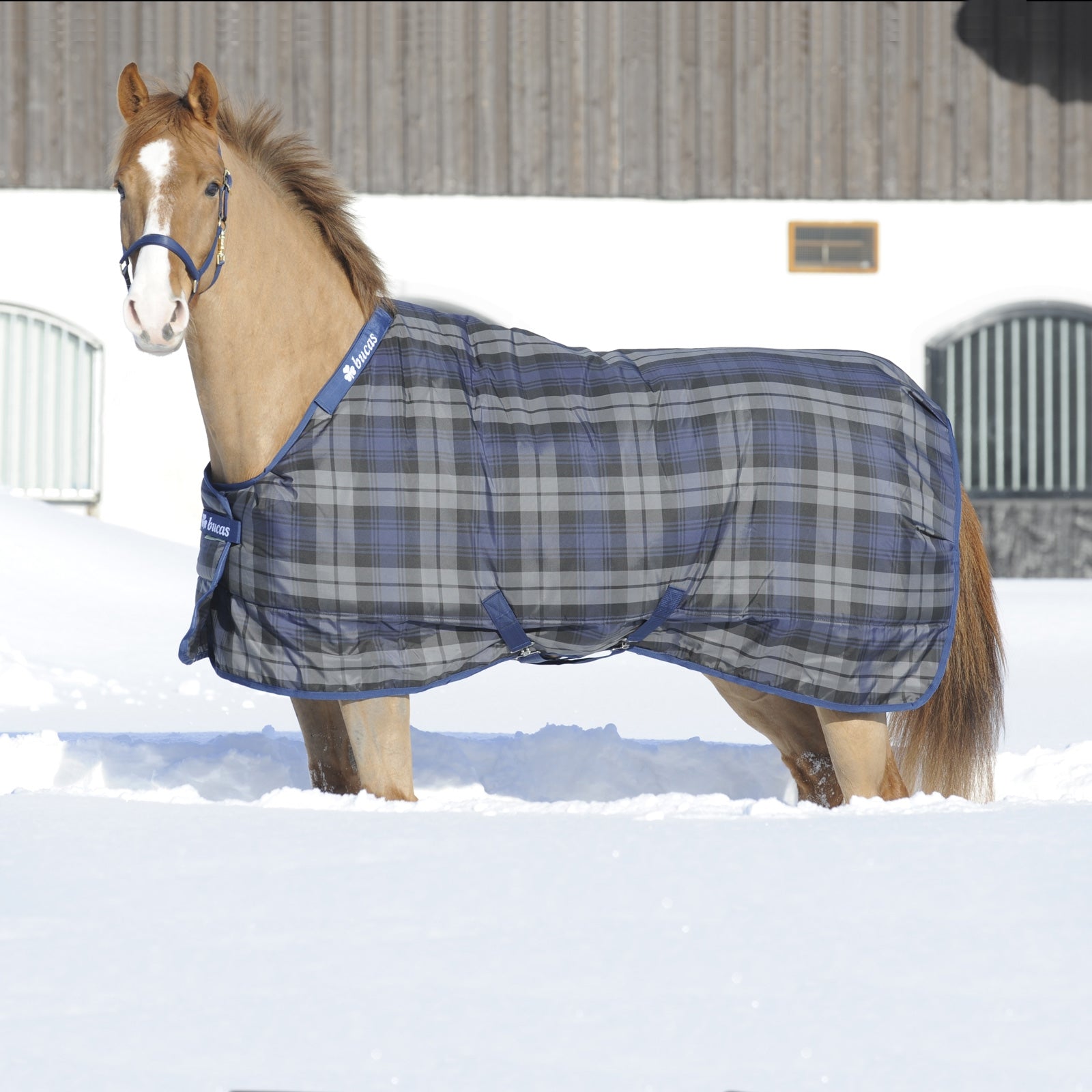 Bucas Celtic Coperta da stalla Light Coperte per cavalli