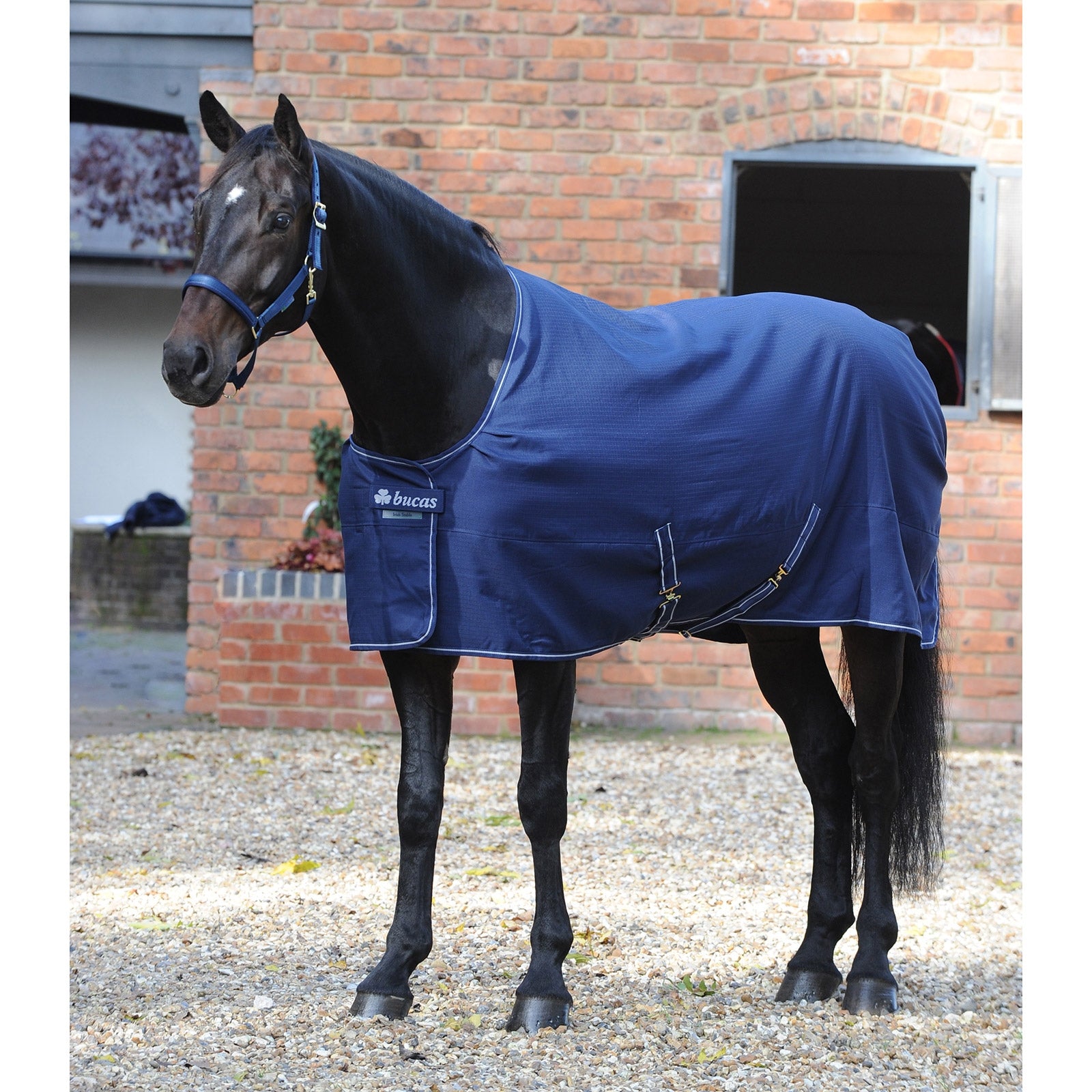 Bucas Irish Coperta da stalla leggera Coperte per cavalli