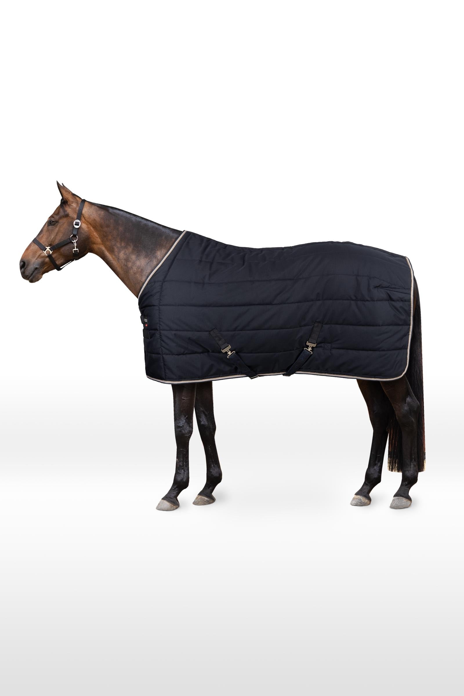 B Vertigo Corey, Coperta da scuderia 250 gr Coperte per cavalli