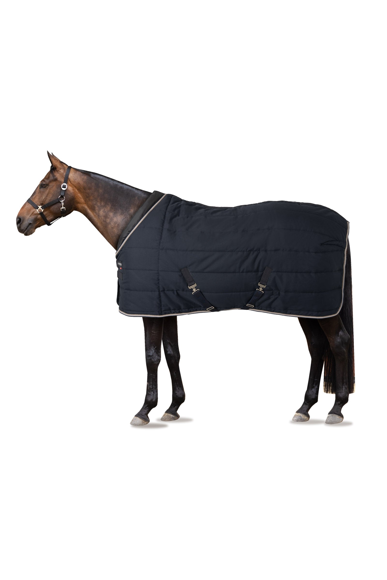 B Vertigo Tim Coperta da scuderia, 400 g Coperte per cavalli