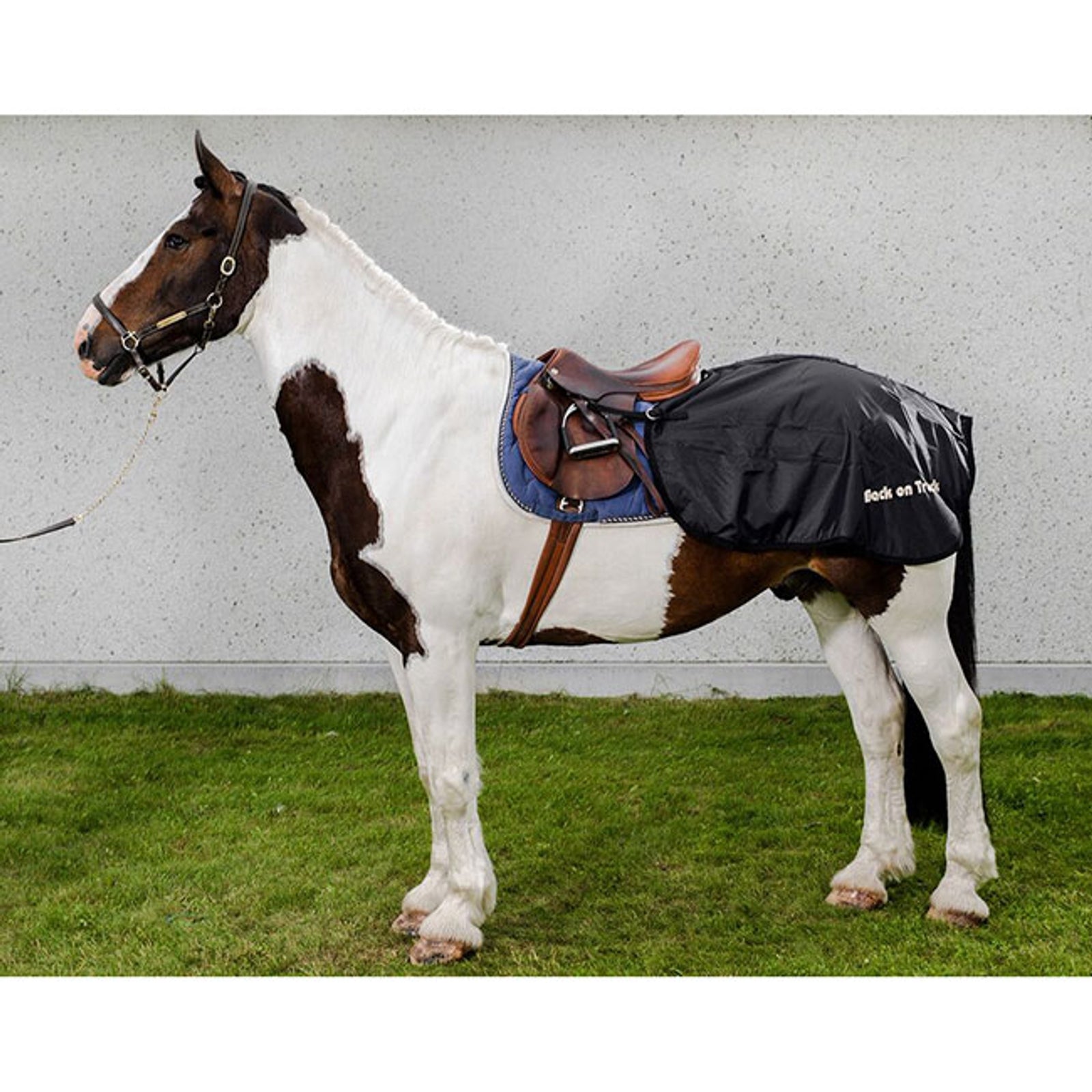Back on Track Coperta da addestramento Coperte per cavalli