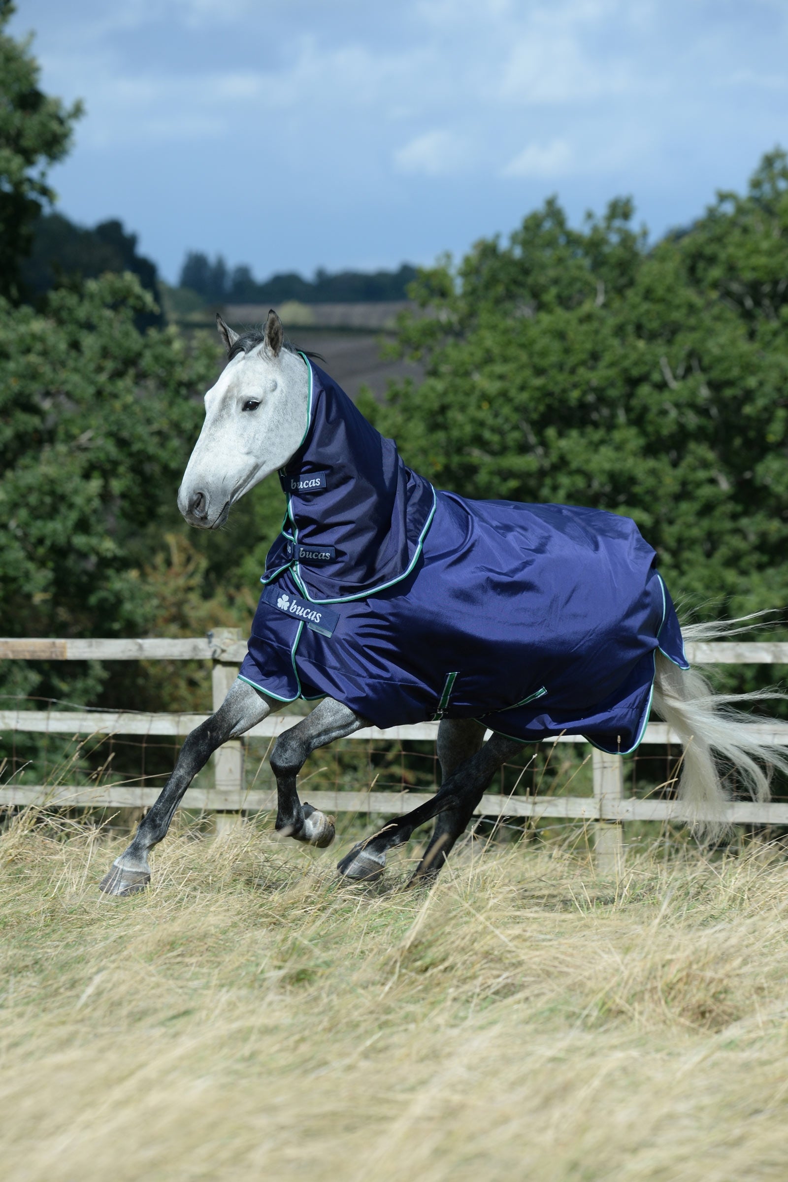 Bucas Smartex Neck, 0 g Horse Rugs