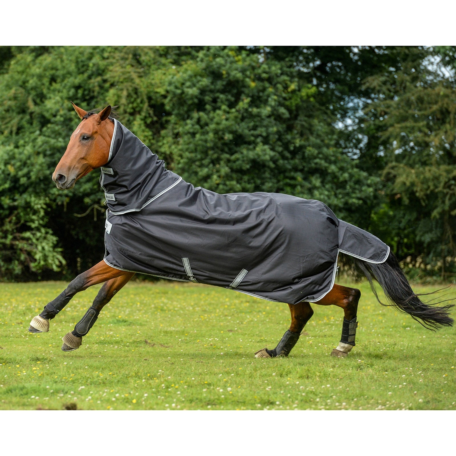 Bucas Smartex Collo, 0 g Coperte per cavalli