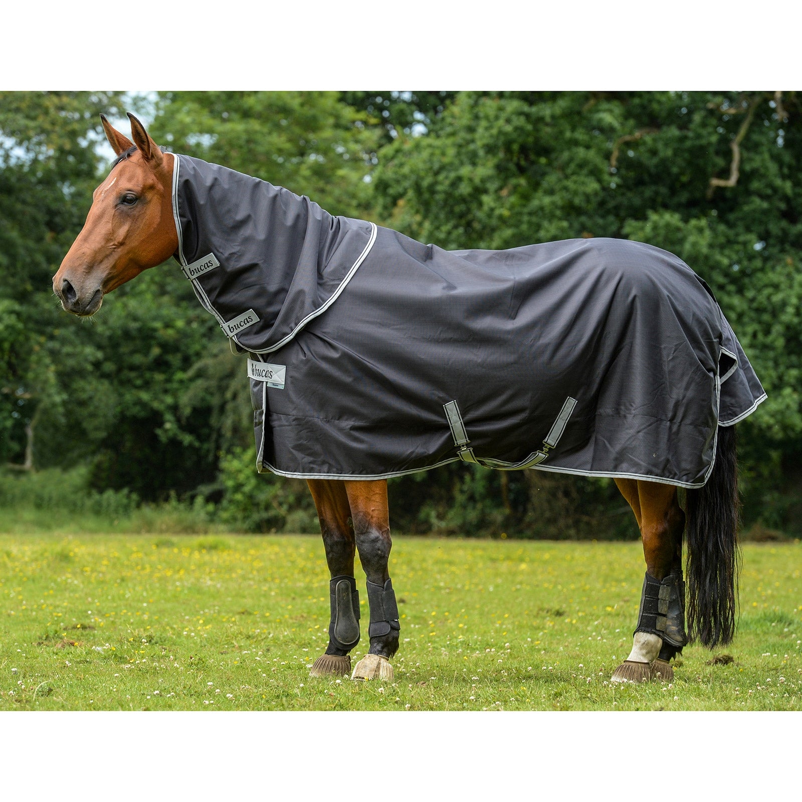 Bucas Smartex Neck, 0 g Horse Rugs