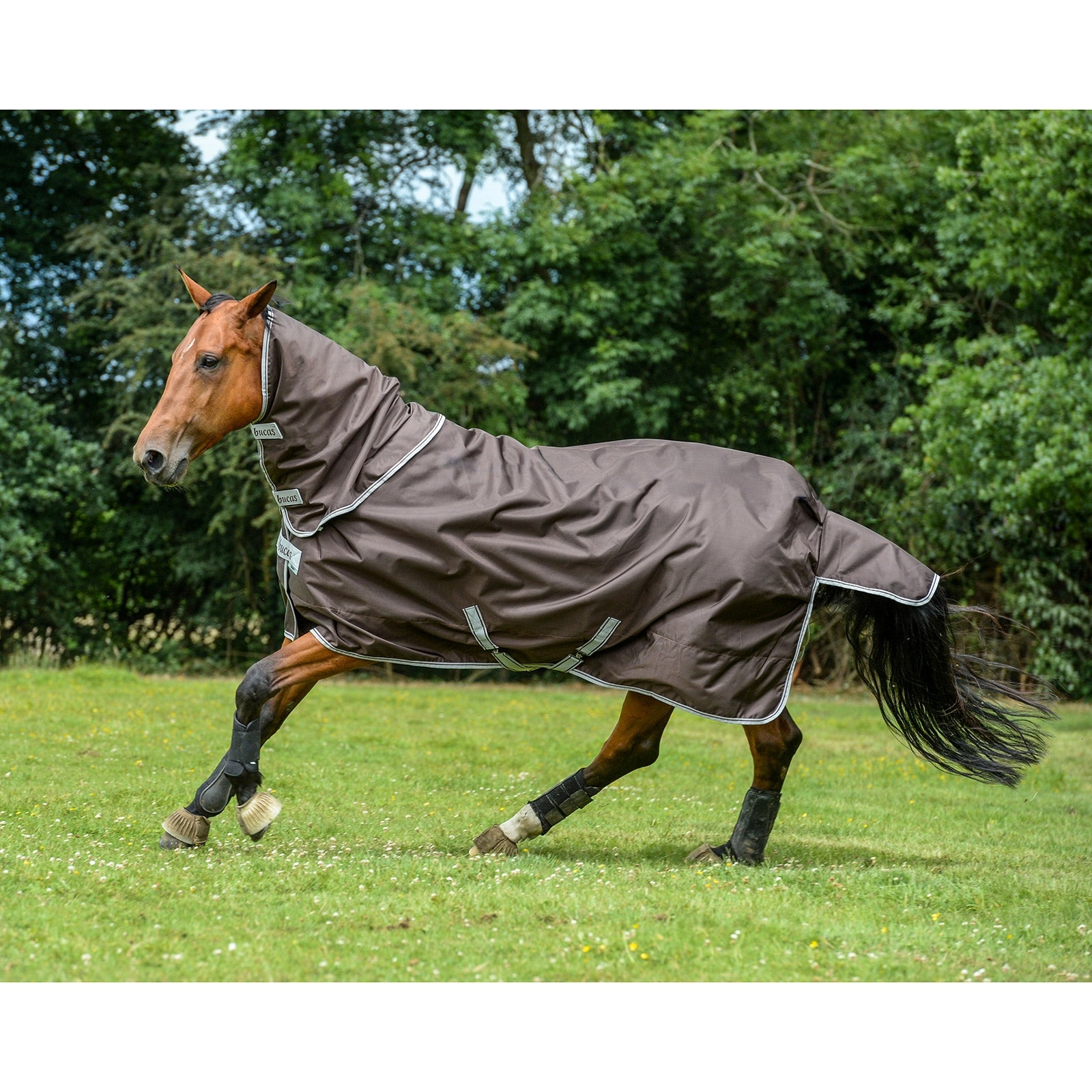 Bucas Smartex Collo, 0 g Coperte per cavalli