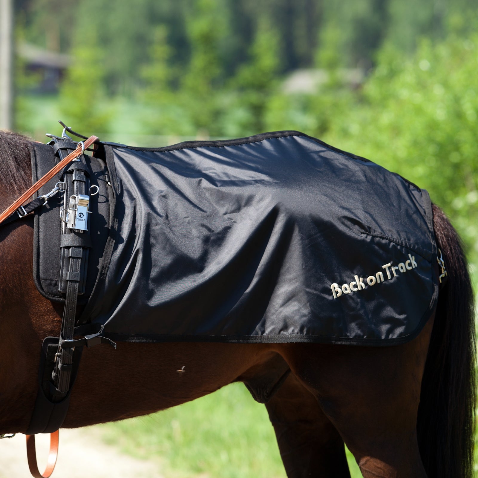Back on Track Coprireni da trotto Back on Track, modello svedese Coperte per cavalli