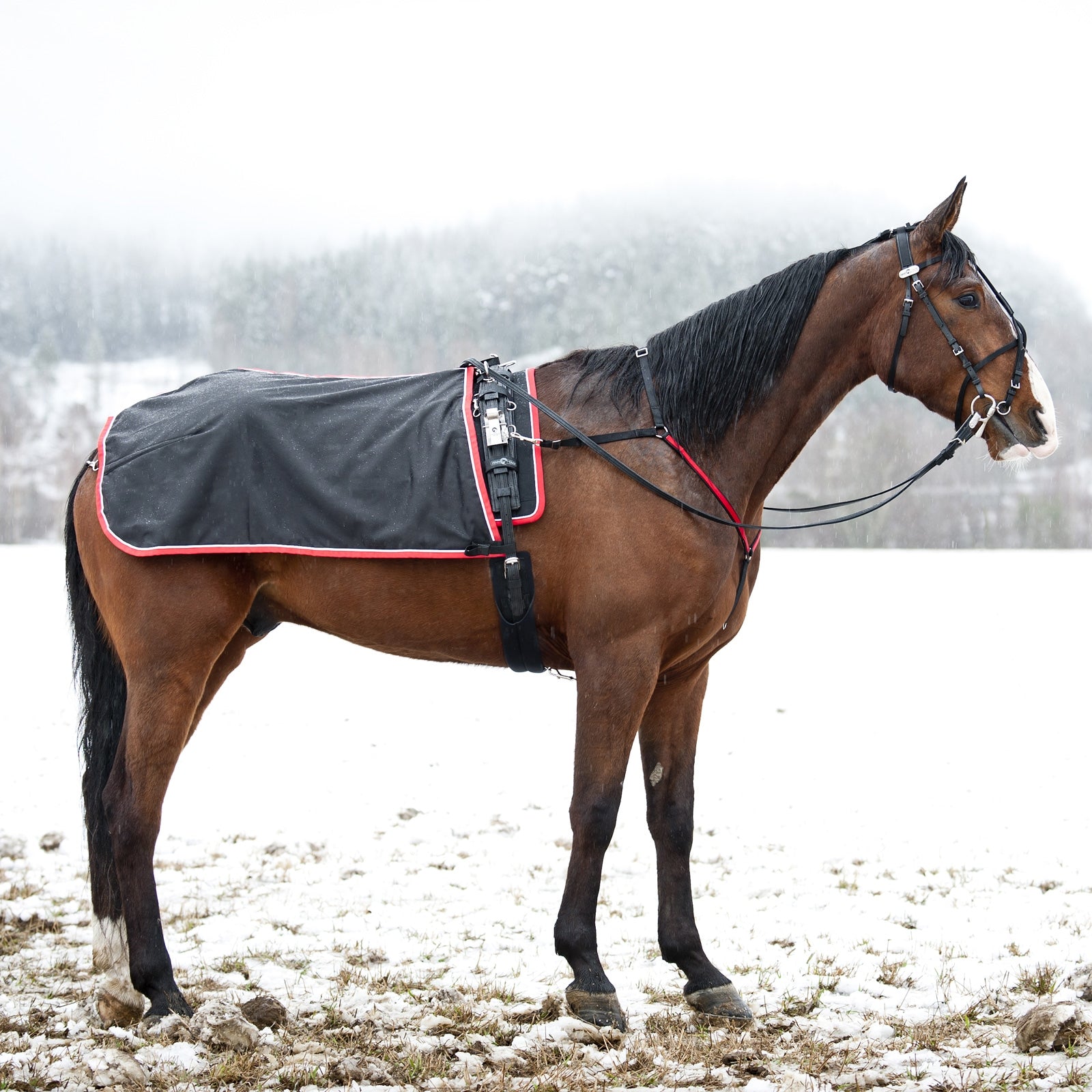 Set Stinchiere E Paranocche Shetland In Neoprene Con Sistema Airflow Protech 49719866 Set Stinchiere E Paranocche Shetland In Neoprene Con Sistema Airflow Protech 49719866