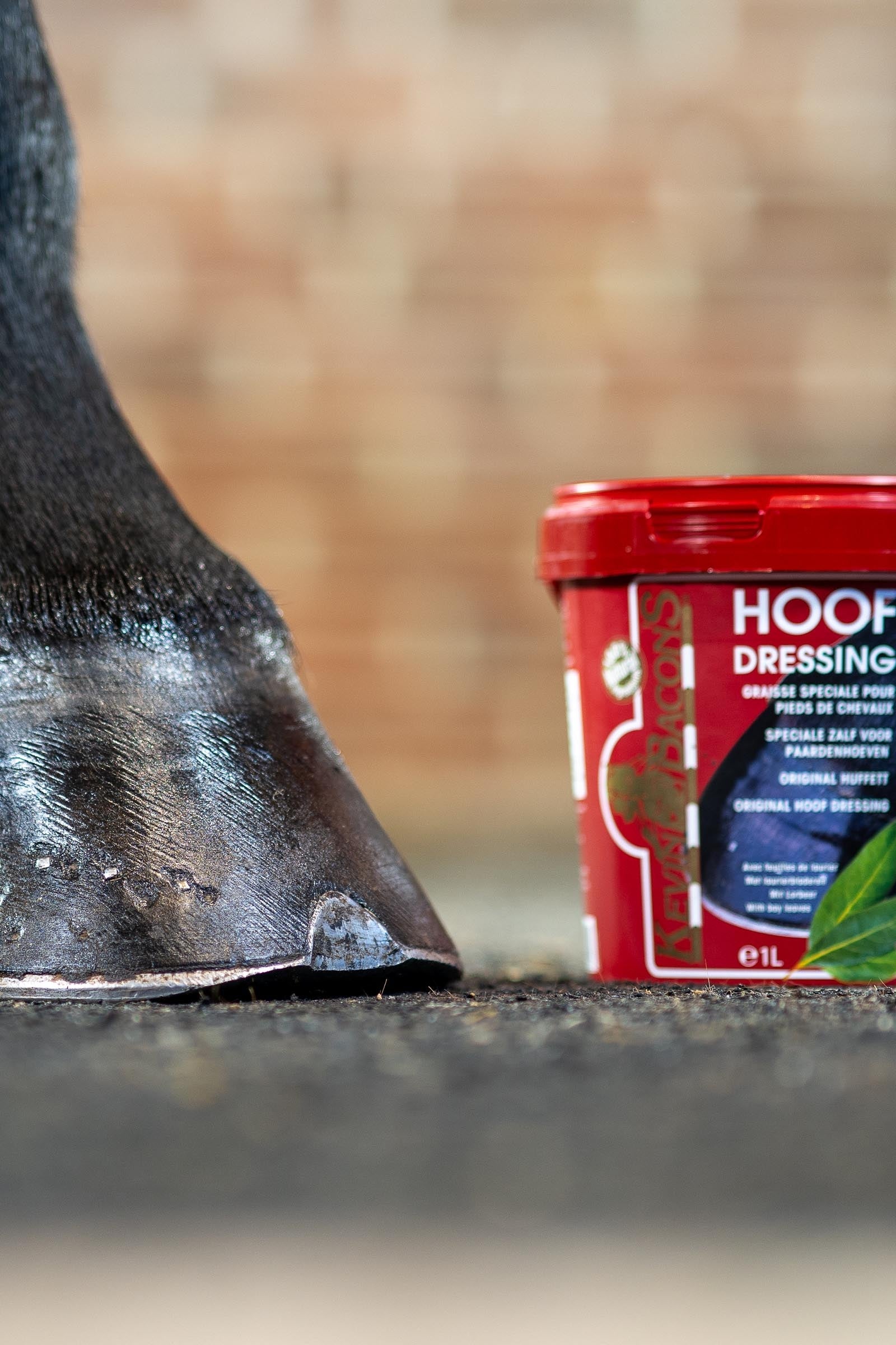 Kevin Bacon´s Kevin Bacon's Hoof Dressing Black, 1000 ml Horse Health Care