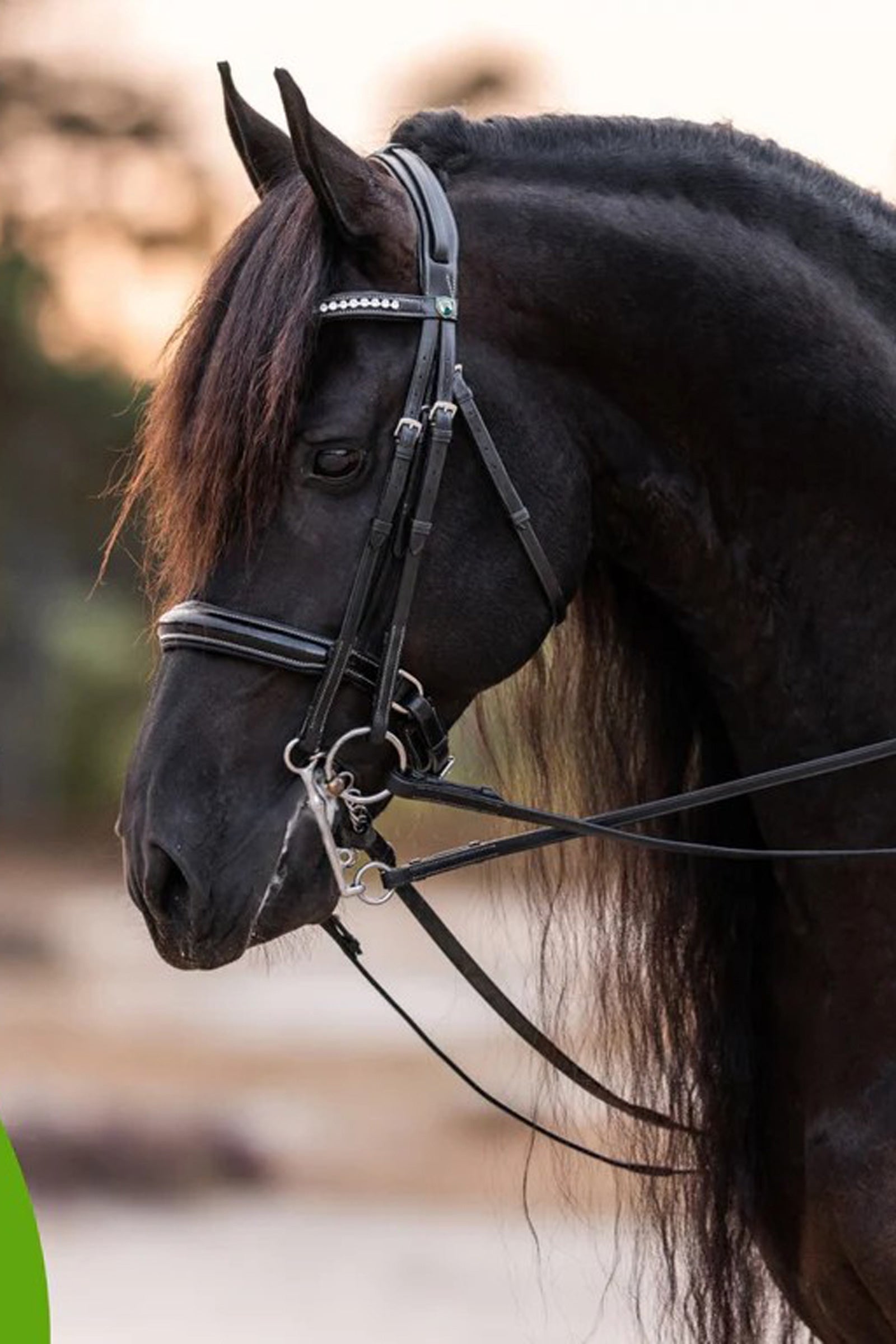 Cowboy Magic Detangler & Shine, 118 mL Horse Health Care