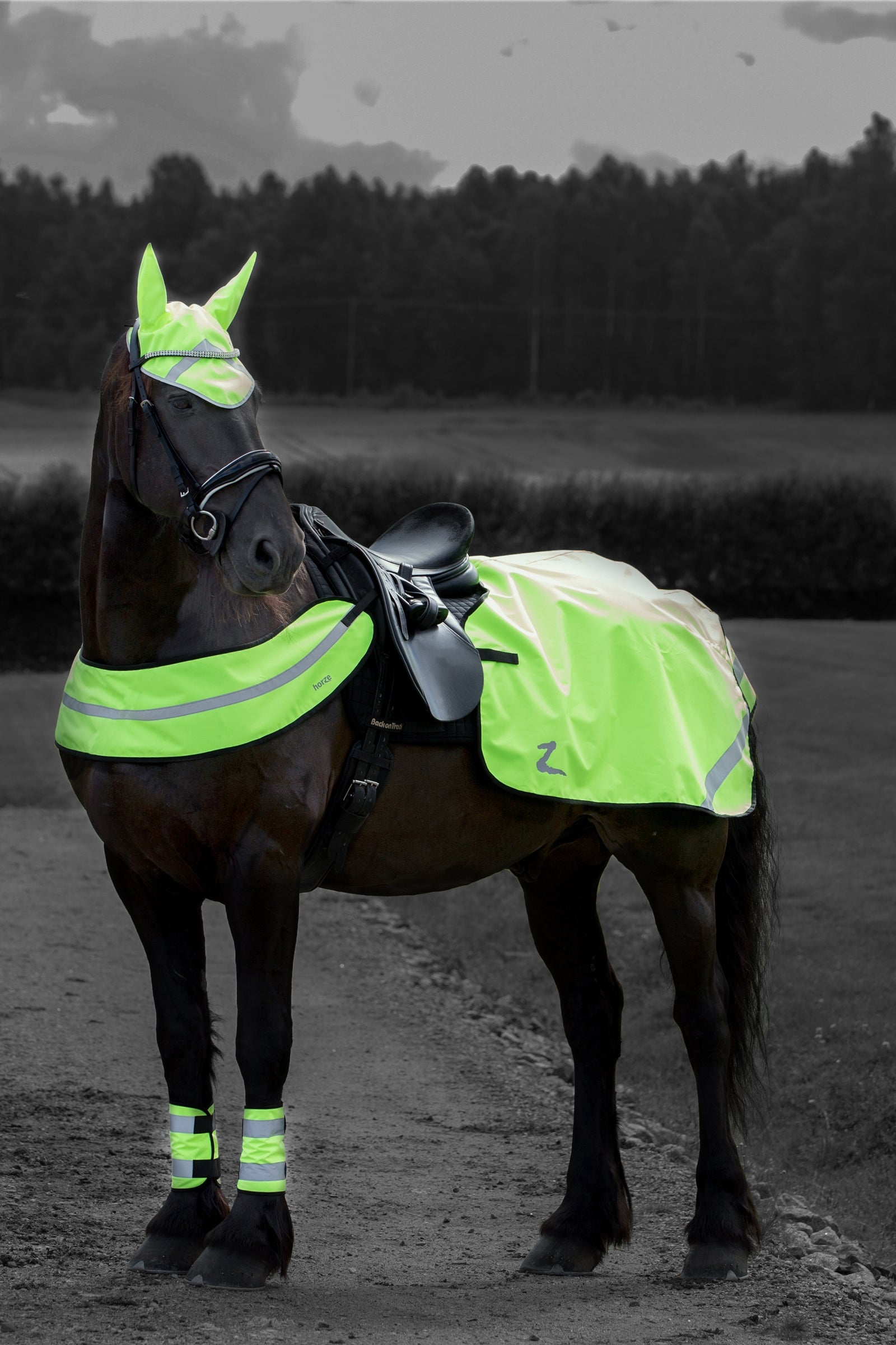 Horze Reflective Leg Wraps Reflective