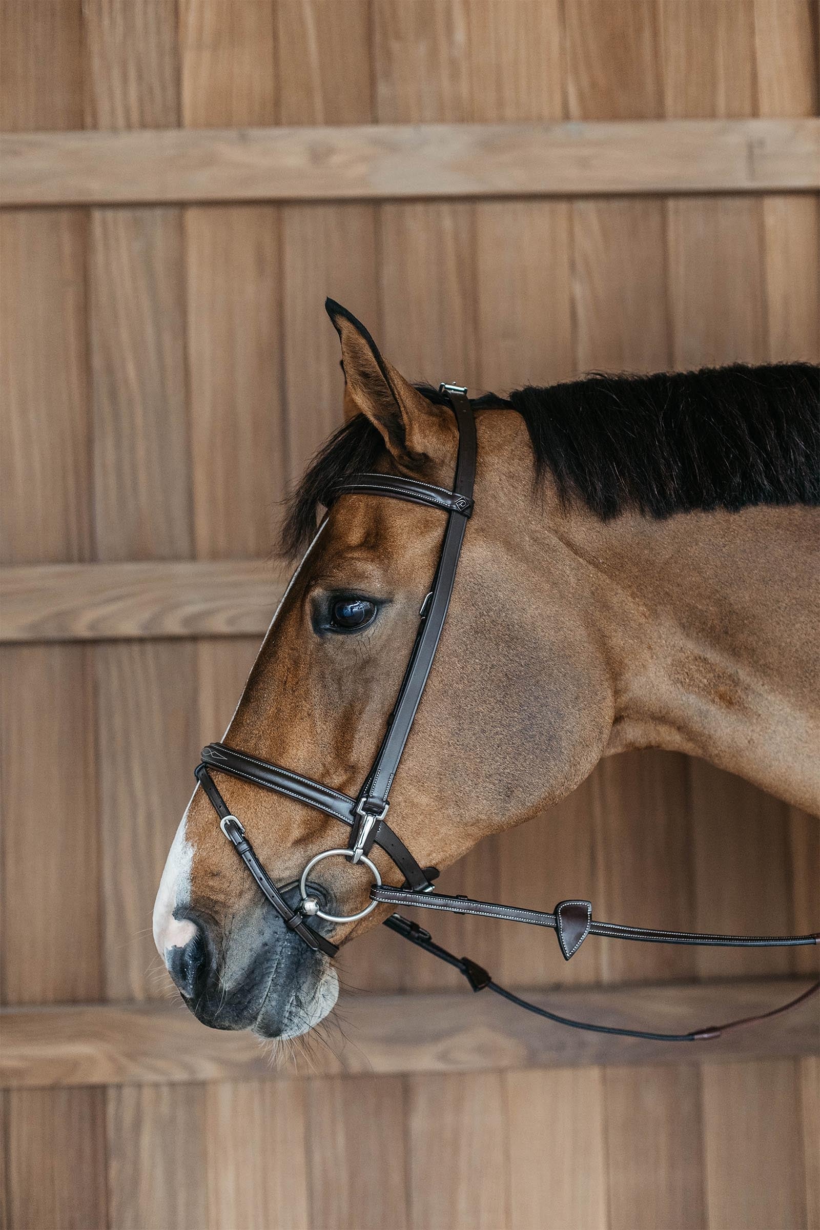 Dy'on Working Training Bridle Bridles & Reins