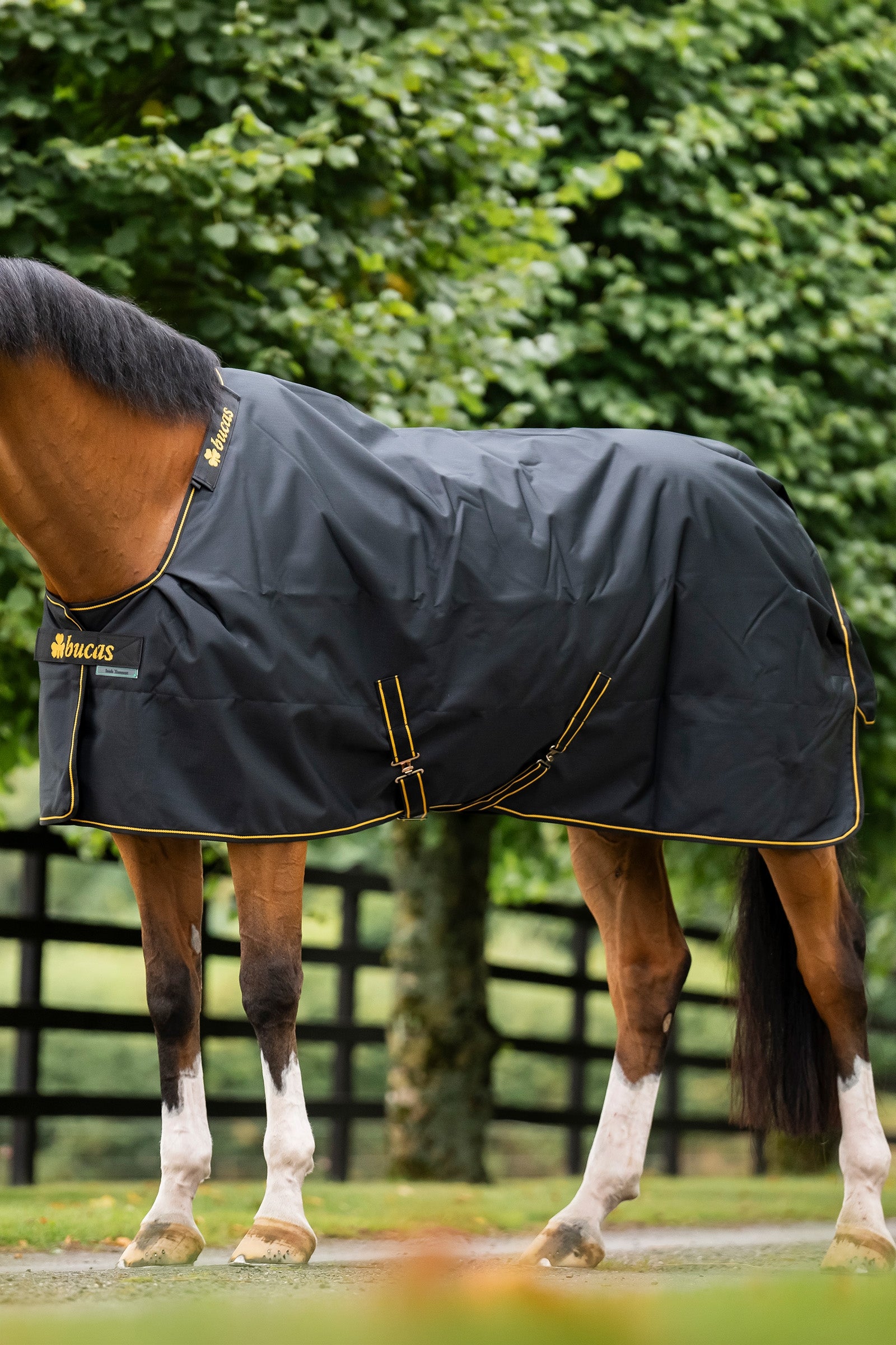 Bucas Irish Turnout Rug, 250g Horse Rugs