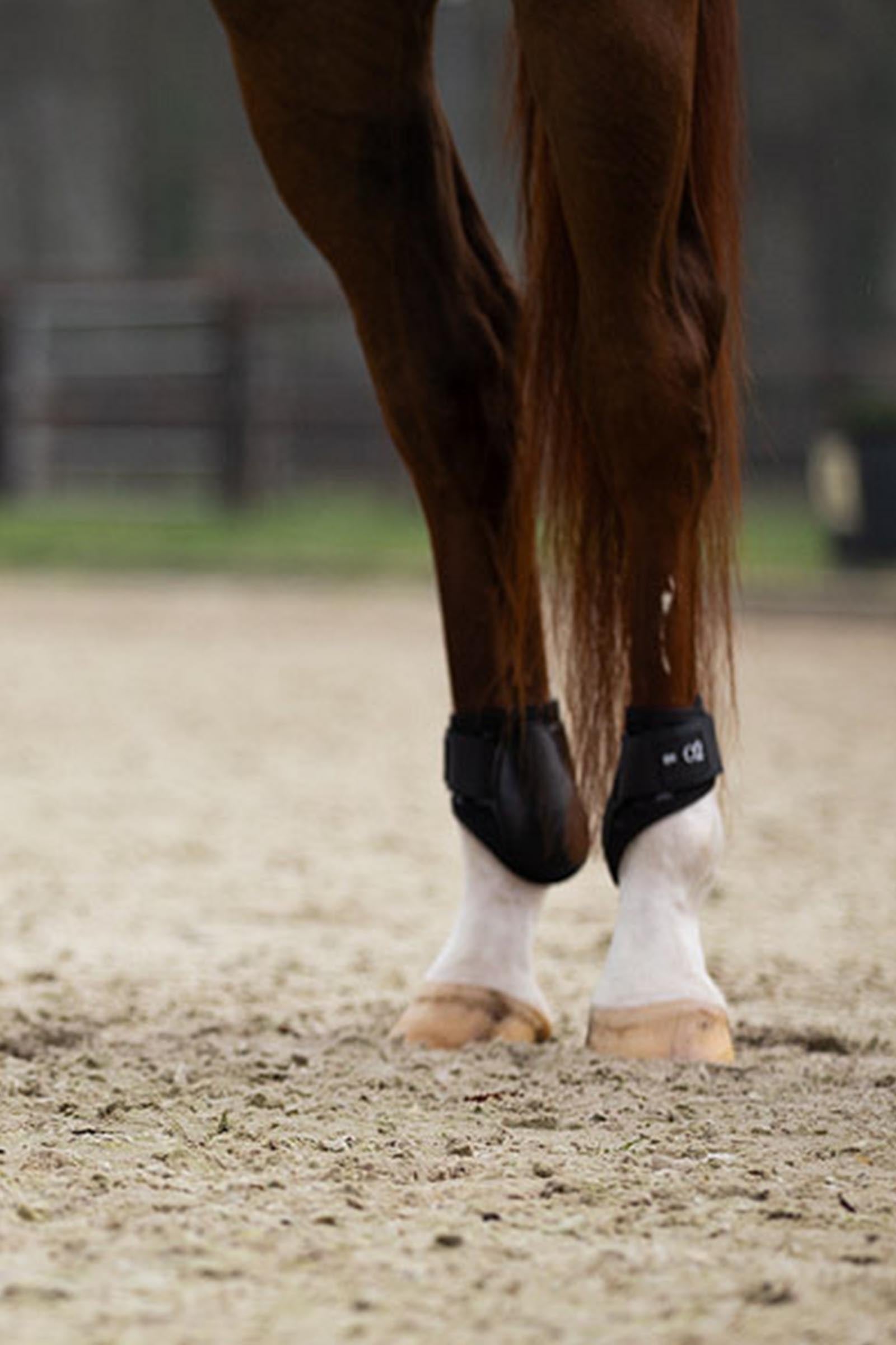 BR XO2 Fetlock Boots Leg Protection & Hoof Protection for Horses