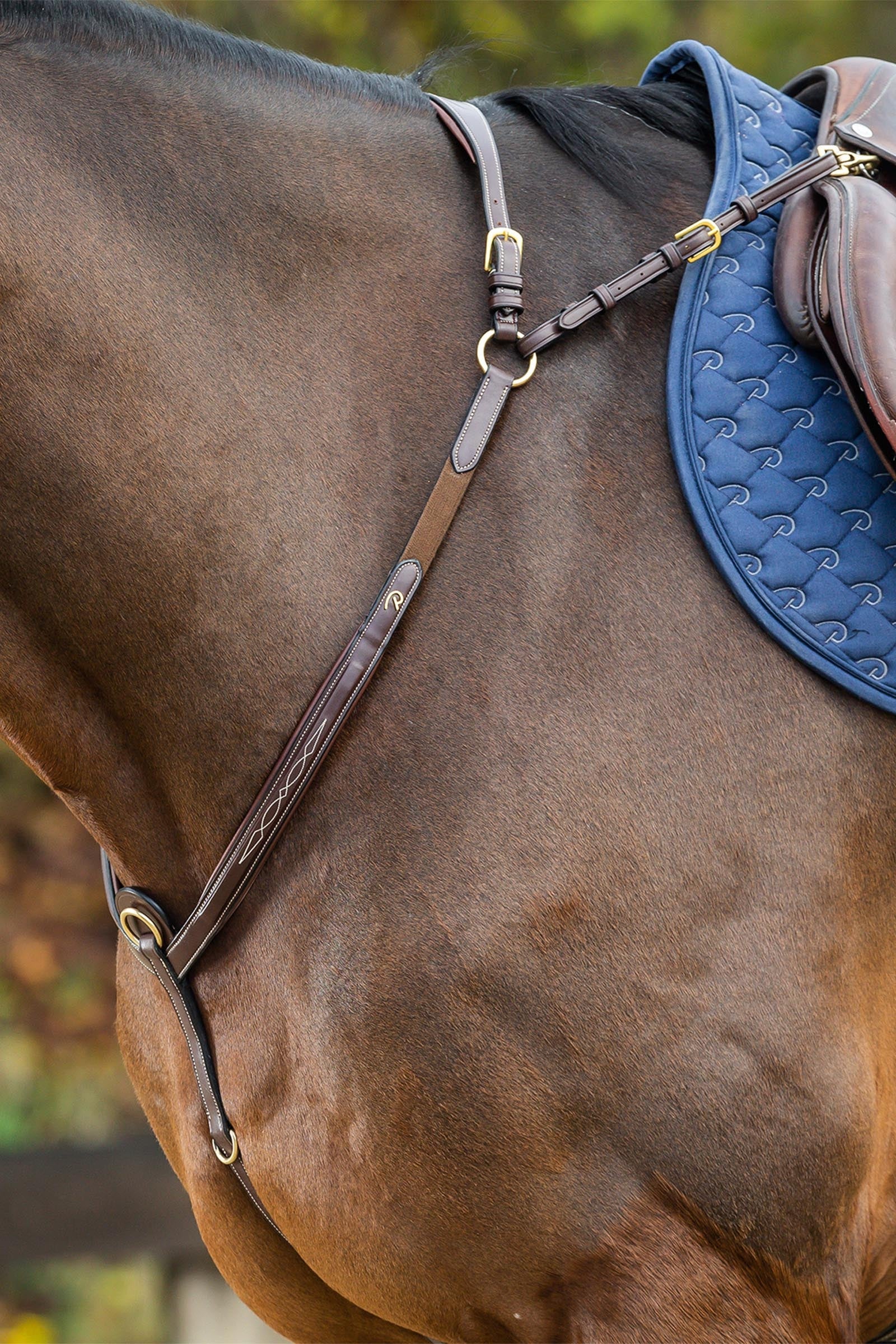 Dy'on D Collection pettorale con ponte Briglie & redini