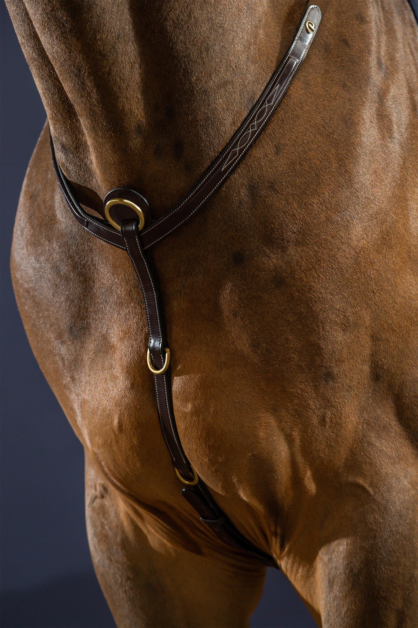 Dy'on D Collection Bridge Breastplate Bridles & Reins