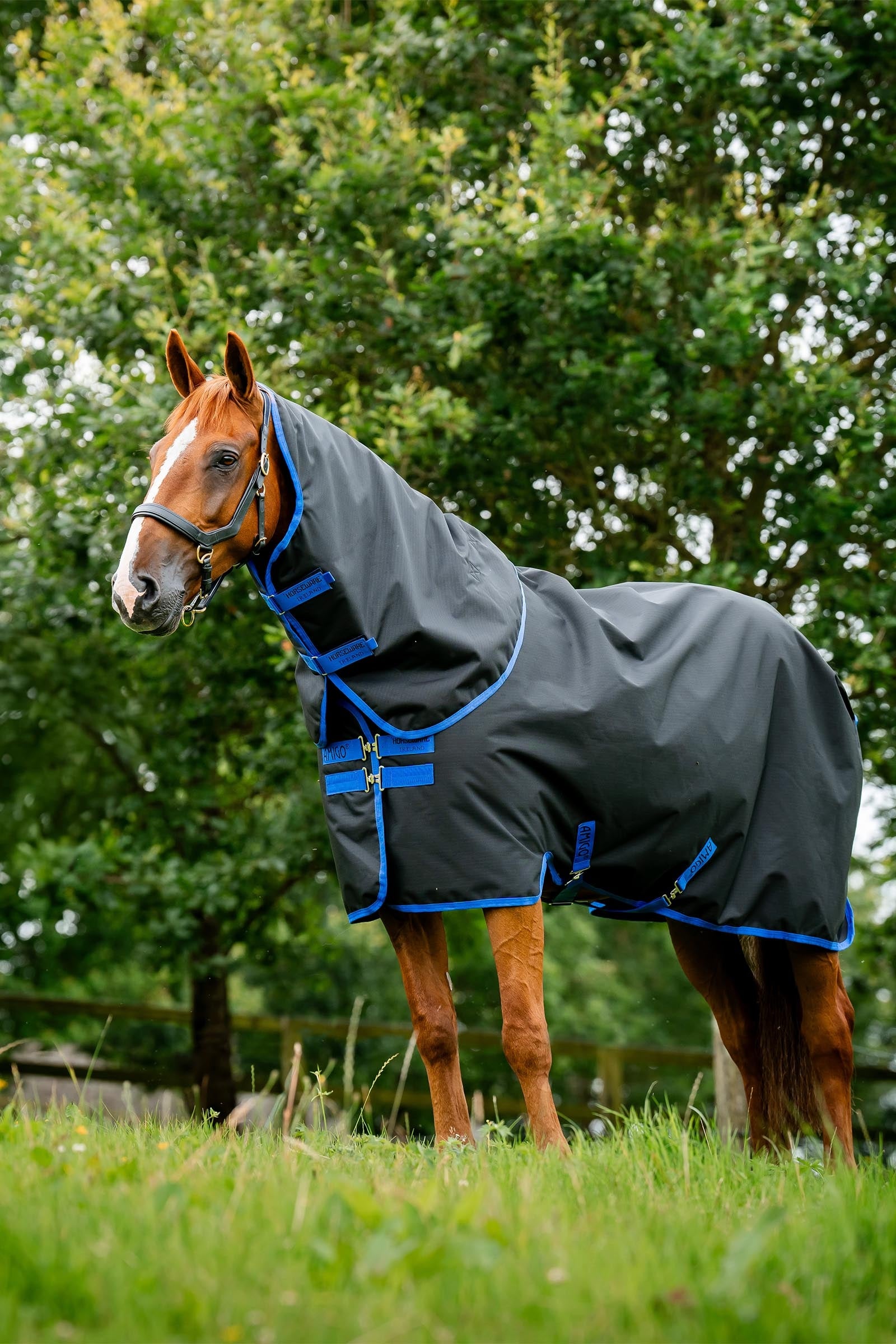 Horseware Amigo Ripstop 900D Plus coperta da turnout con collo staccabile, 100 g Coperte per cavalli